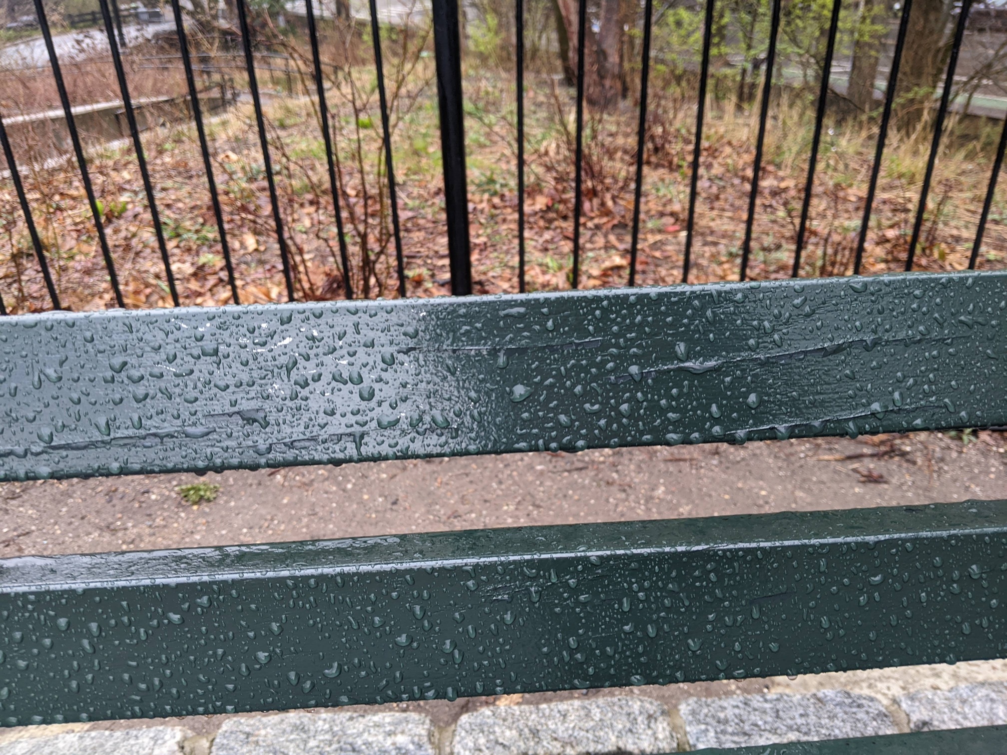 I saw this bench in Central Park