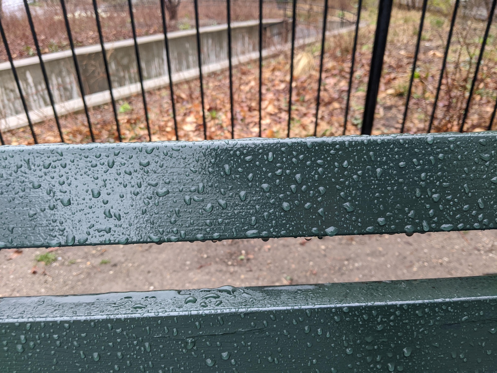 I saw this bench in Central Park