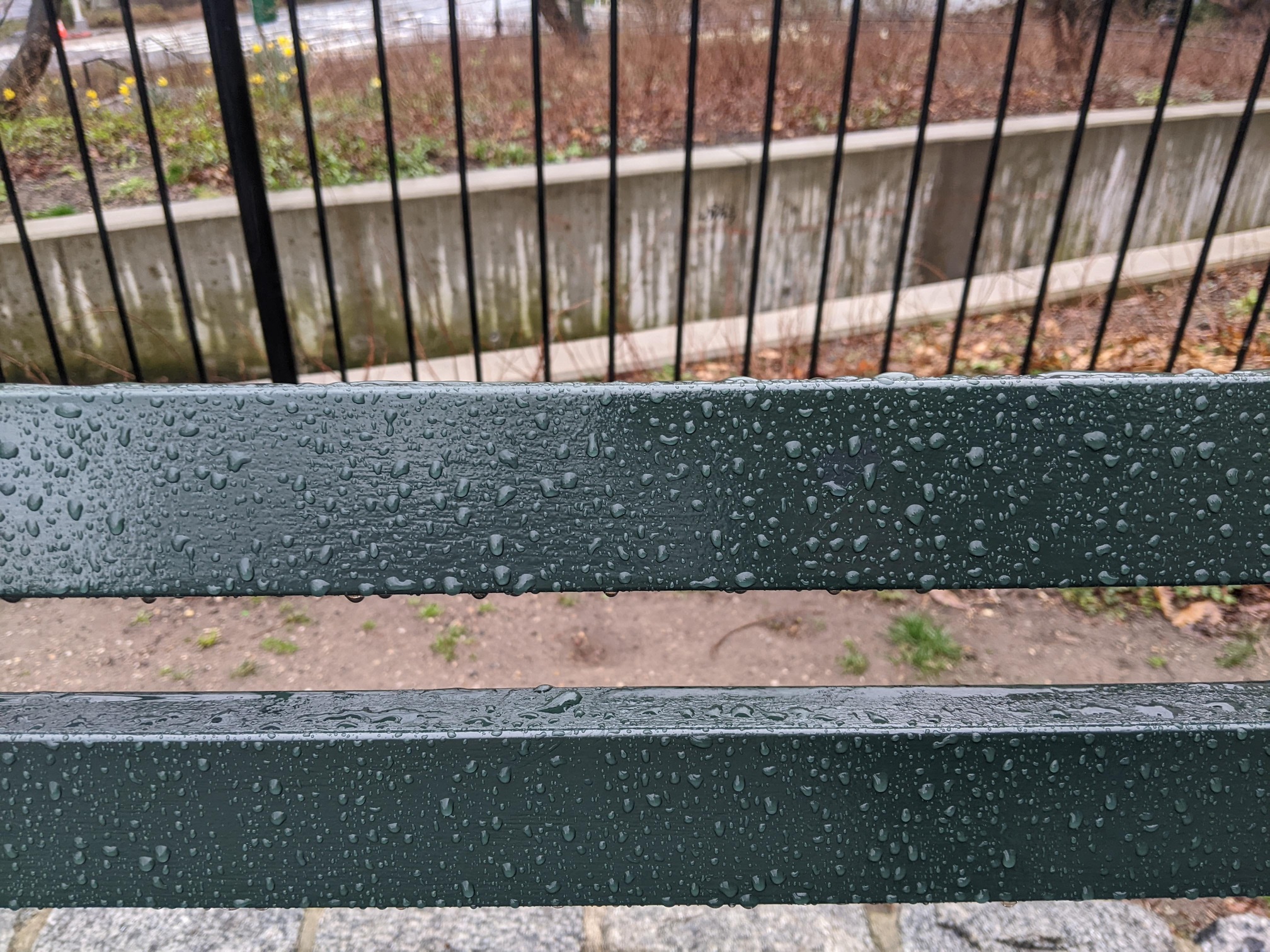 I saw this bench in Central Park