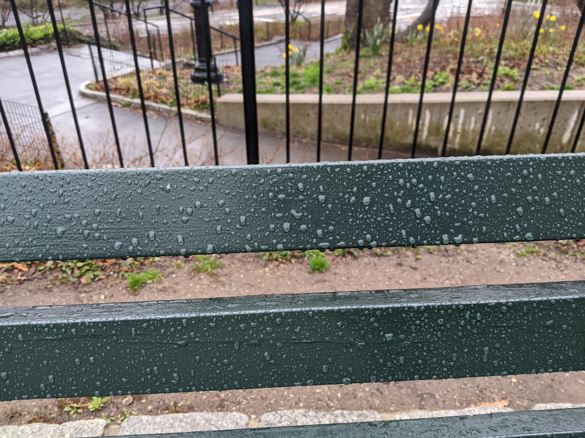 I saw this bench in Central Park