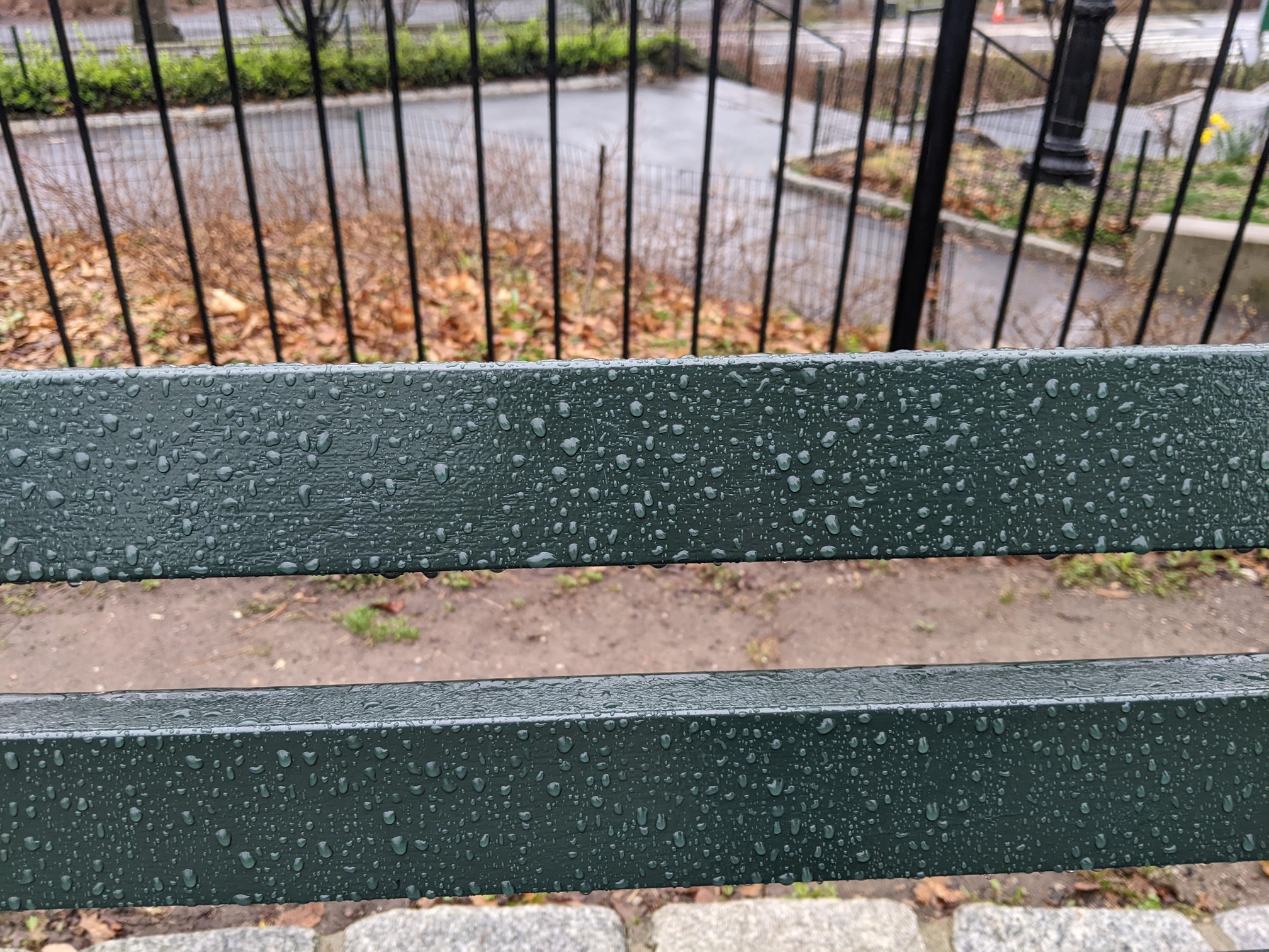 I saw this bench in Central Park