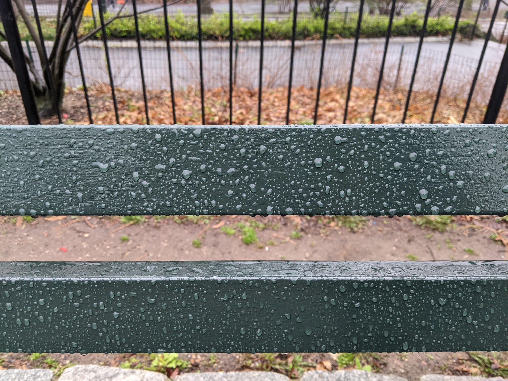 I saw this bench in Central Park