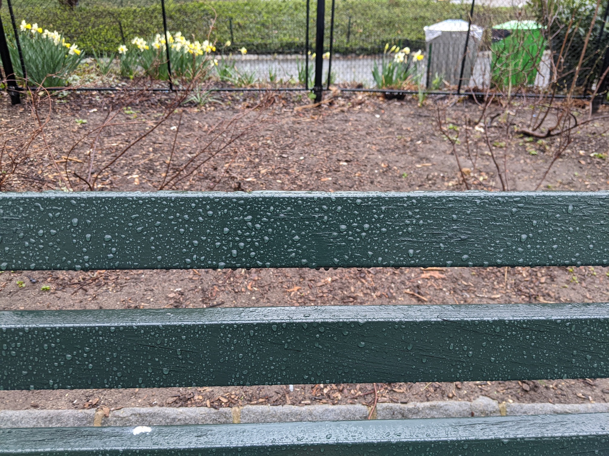 I saw this bench in Central Park