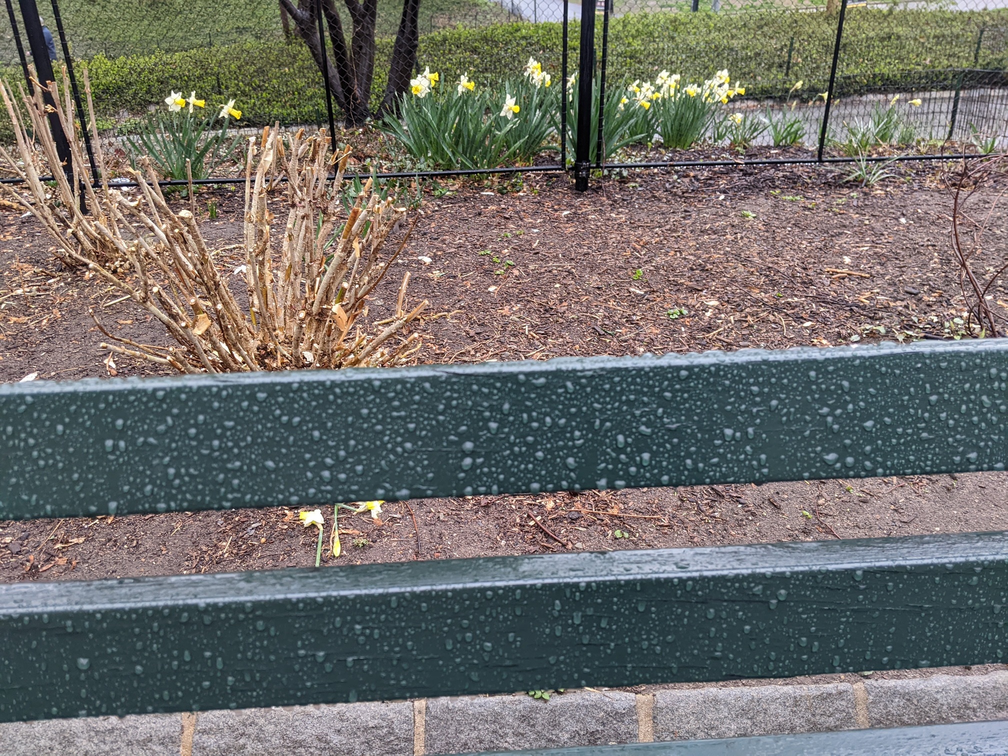 I saw this bench in Central Park