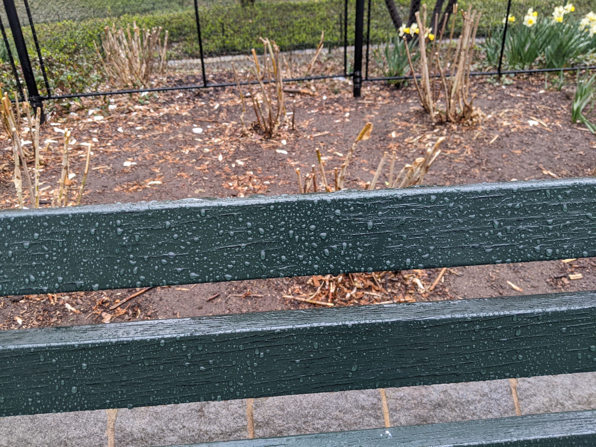 I saw this bench in Central Park