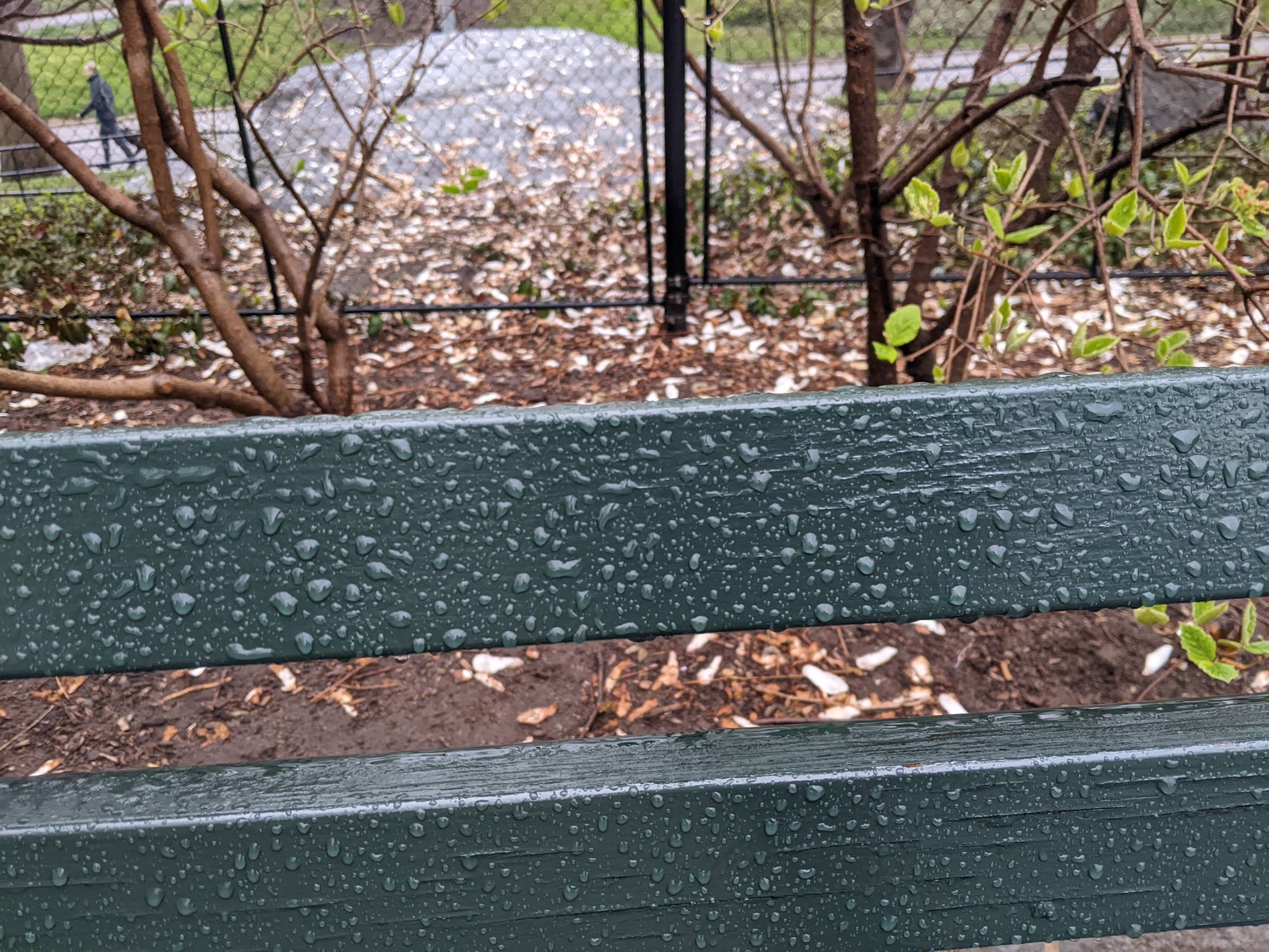 I saw this bench in Central Park