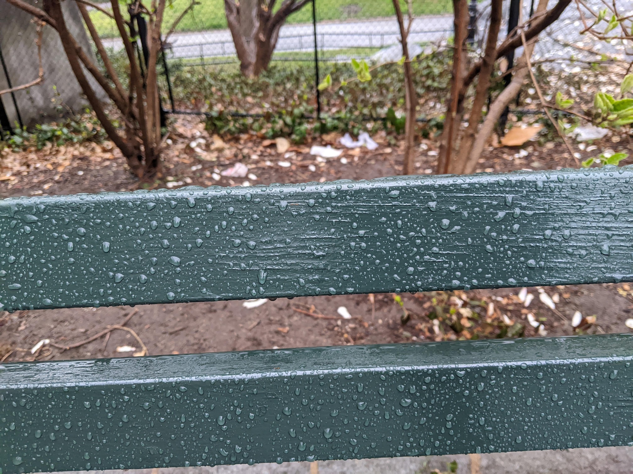 I saw this bench in Central Park