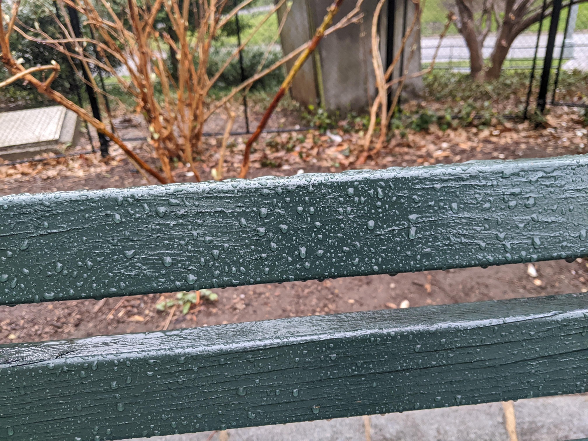 I saw this bench in Central Park