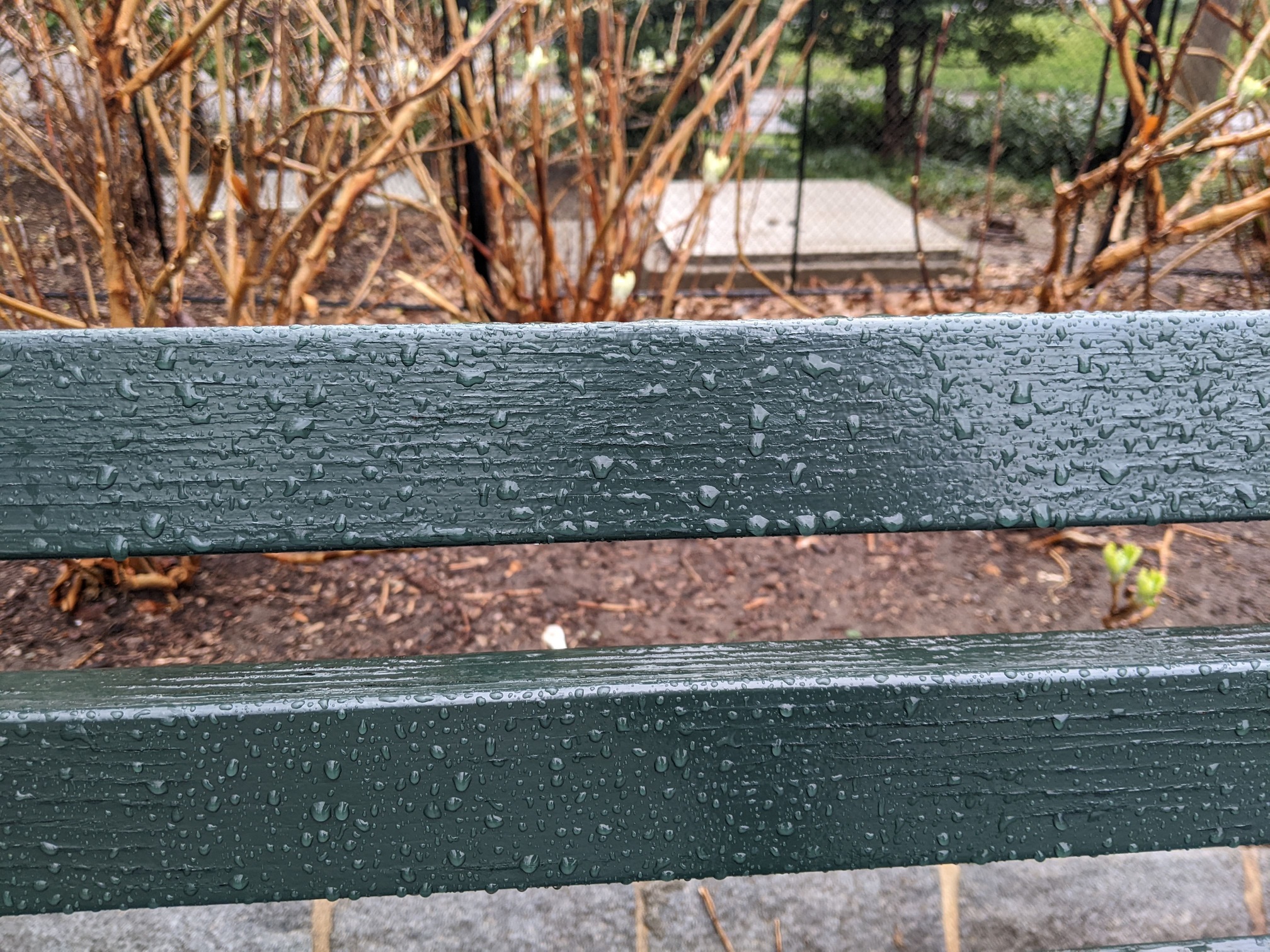 I saw this bench in Central Park