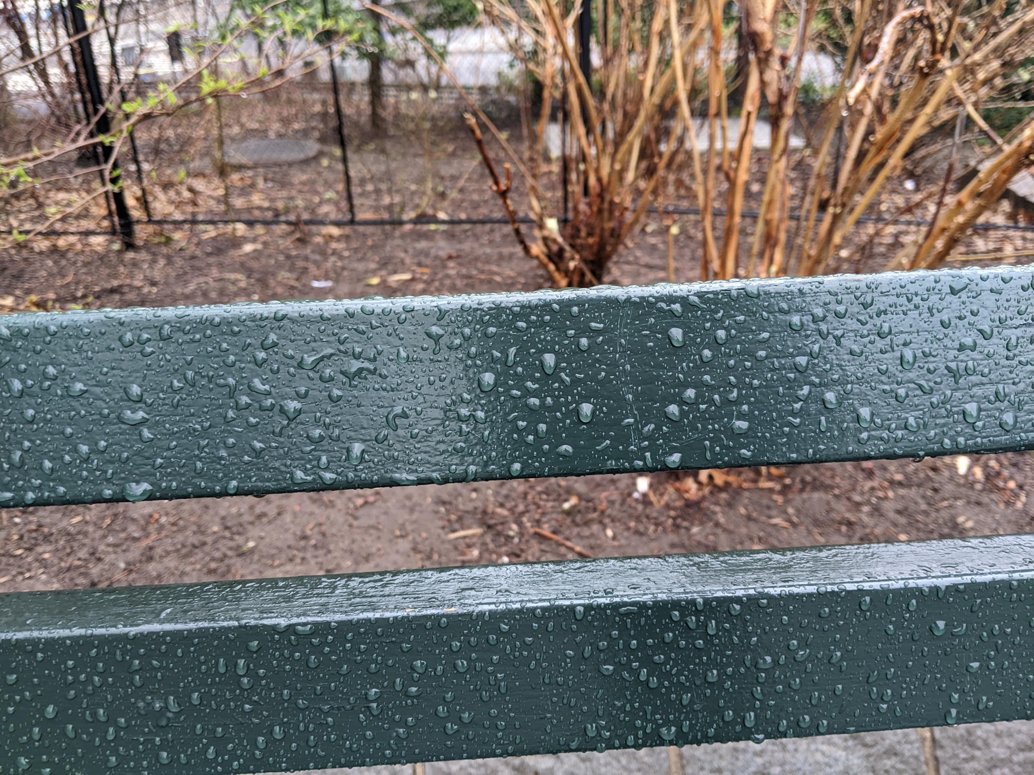 I saw this bench in Central Park