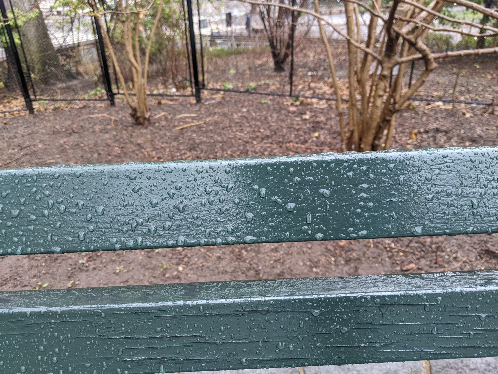 I saw this bench in Central Park