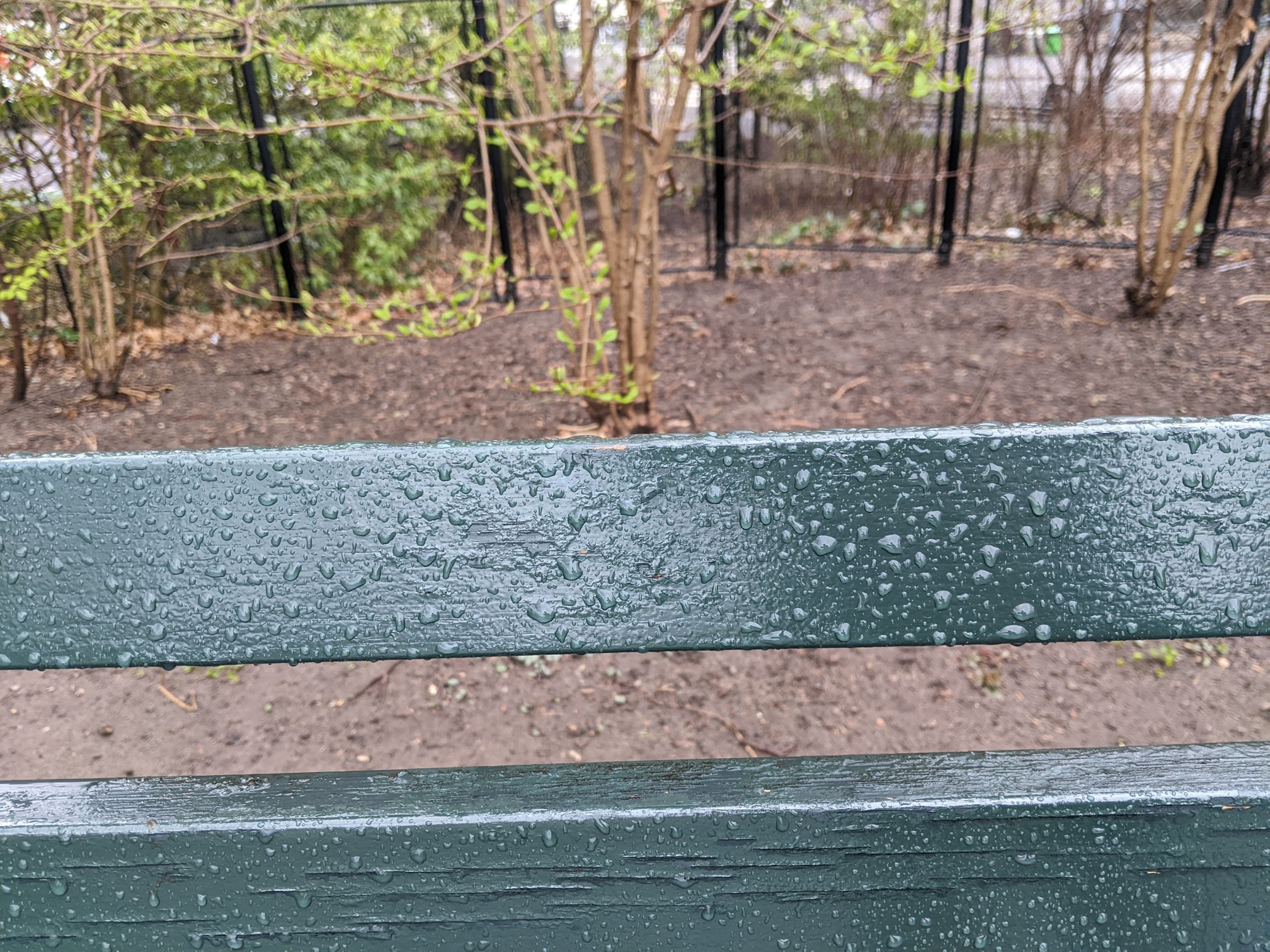 I saw this bench in Central Park