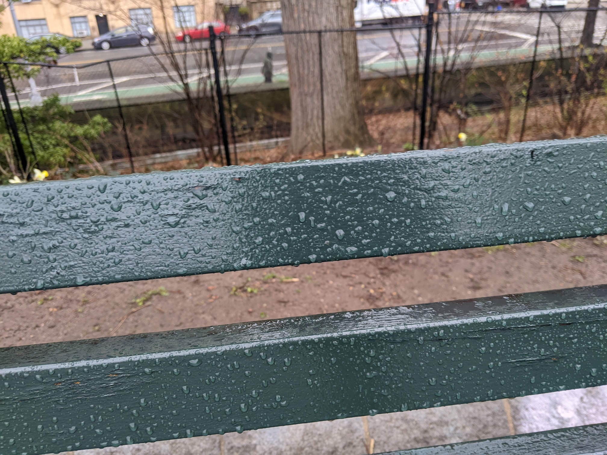 I saw this bench in Central Park