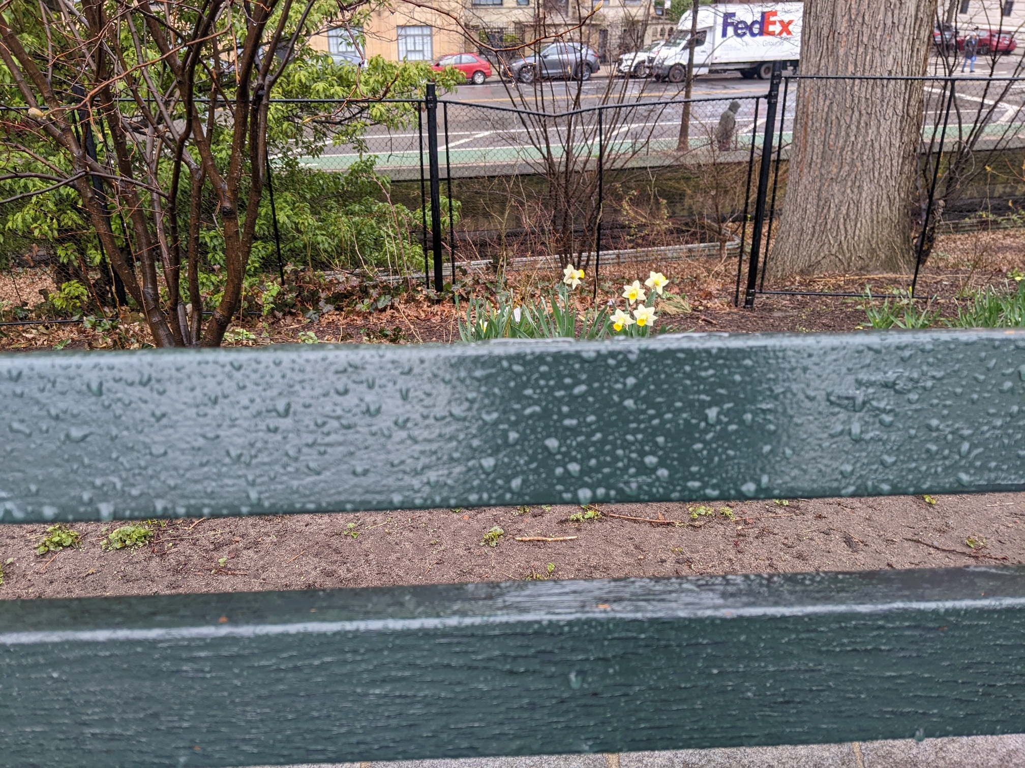 I saw this bench in Central Park