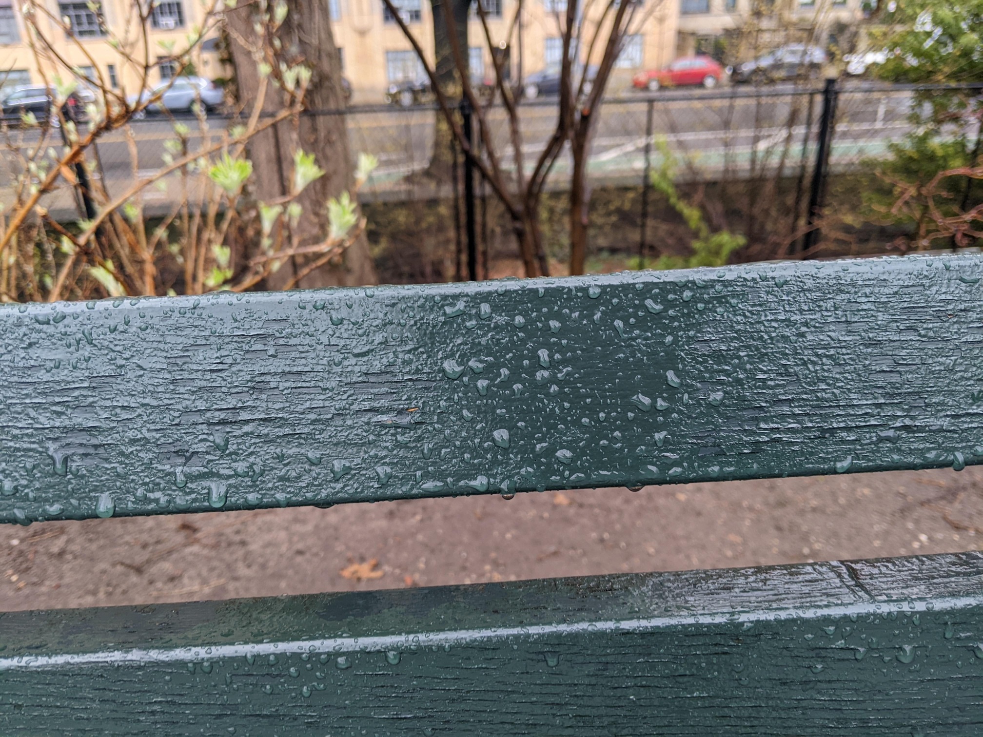 I saw this bench in Central Park