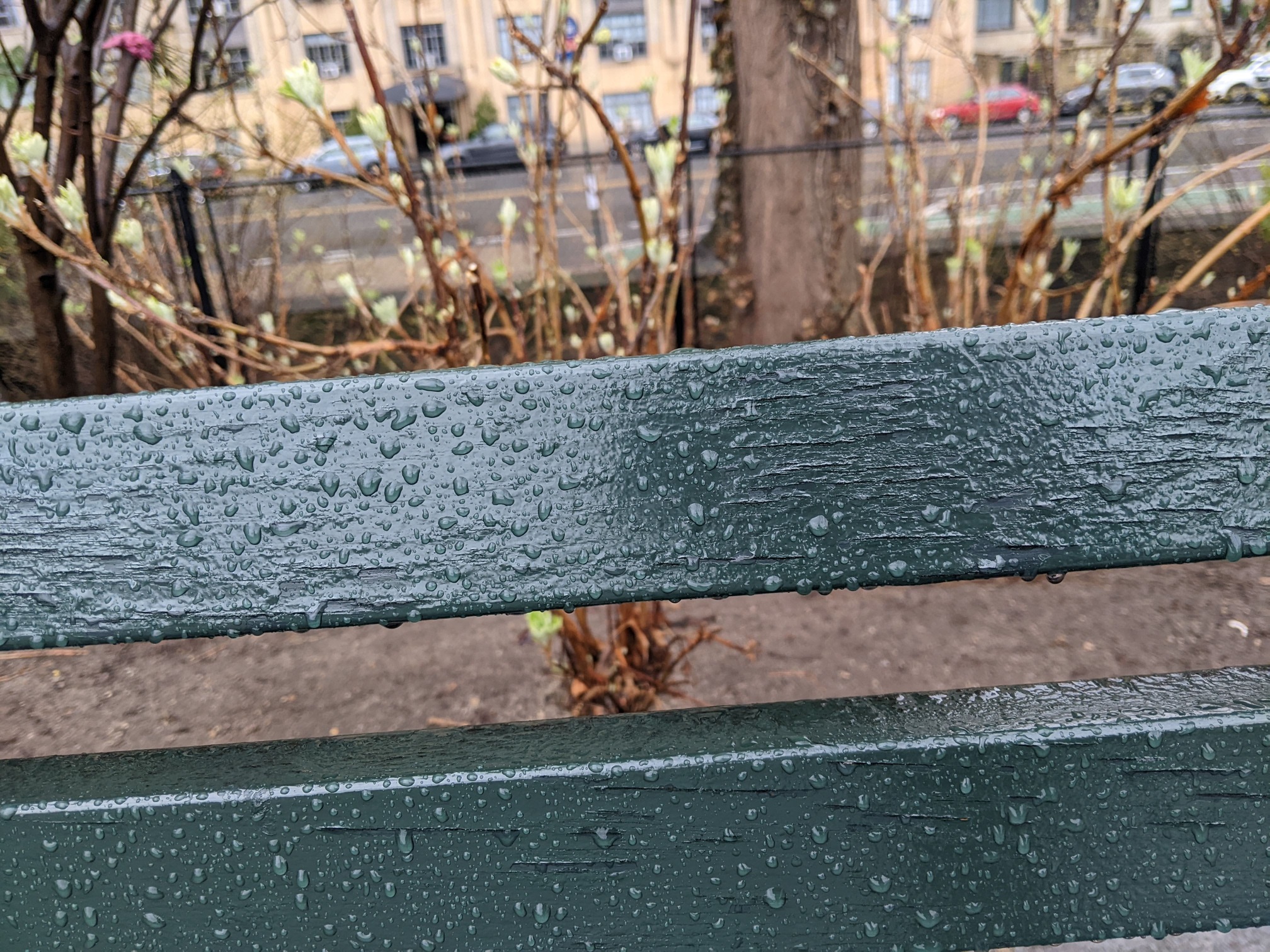 I saw this bench in Central Park