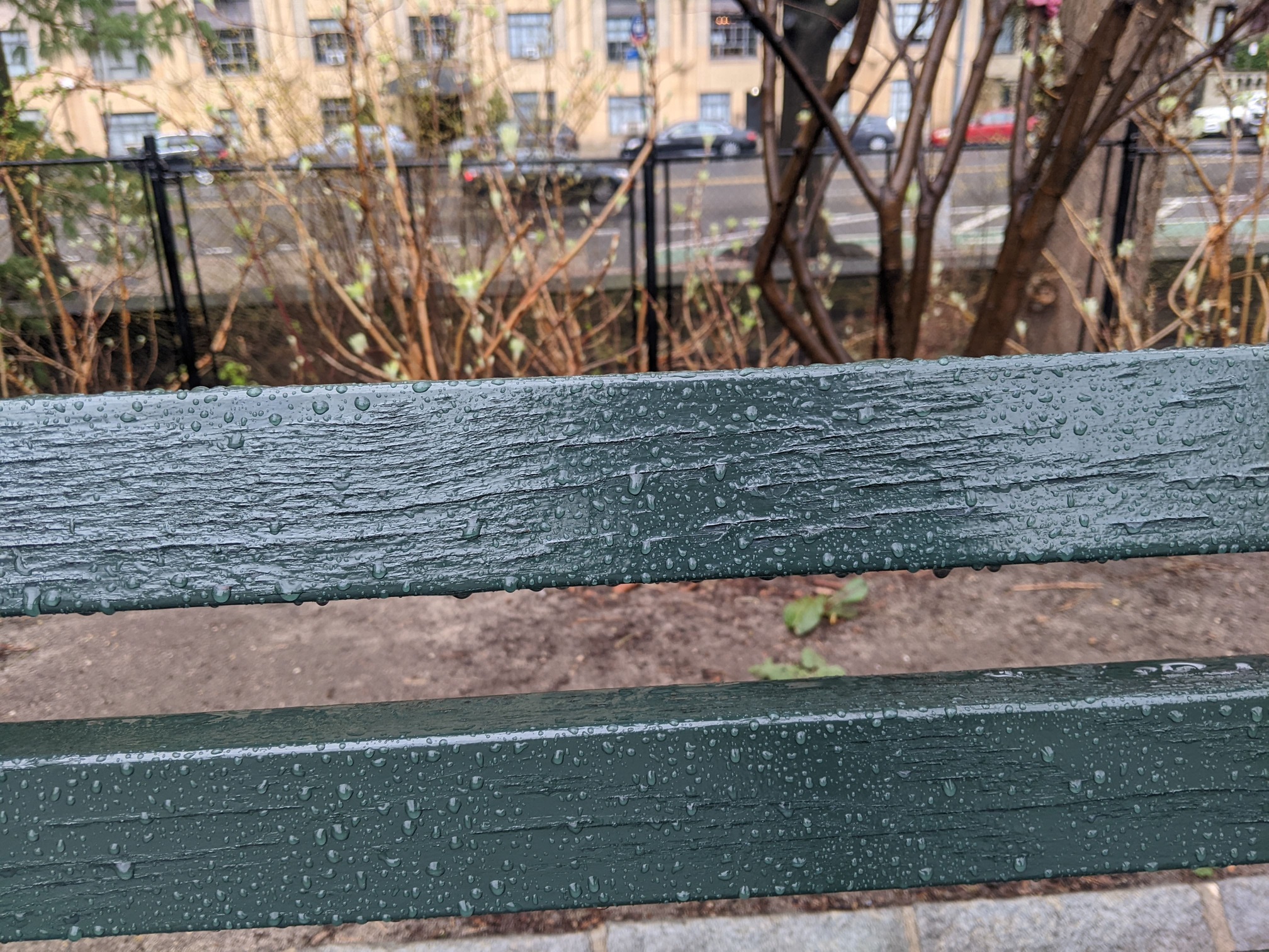 I saw this bench in Central Park