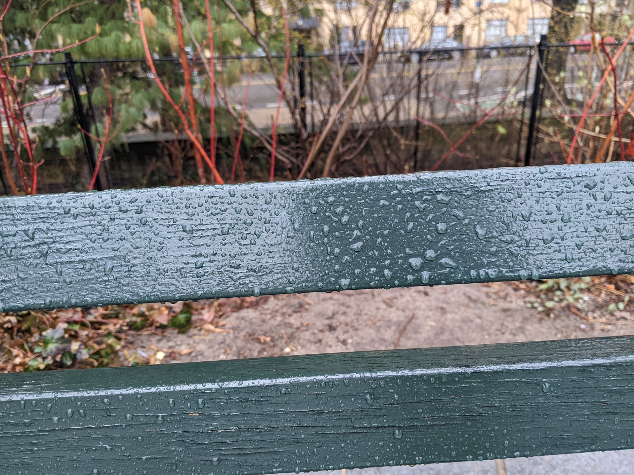 I saw this bench in Central Park