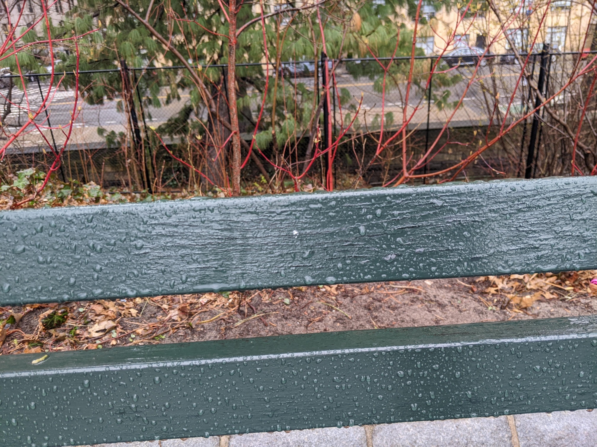 I saw this bench in Central Park