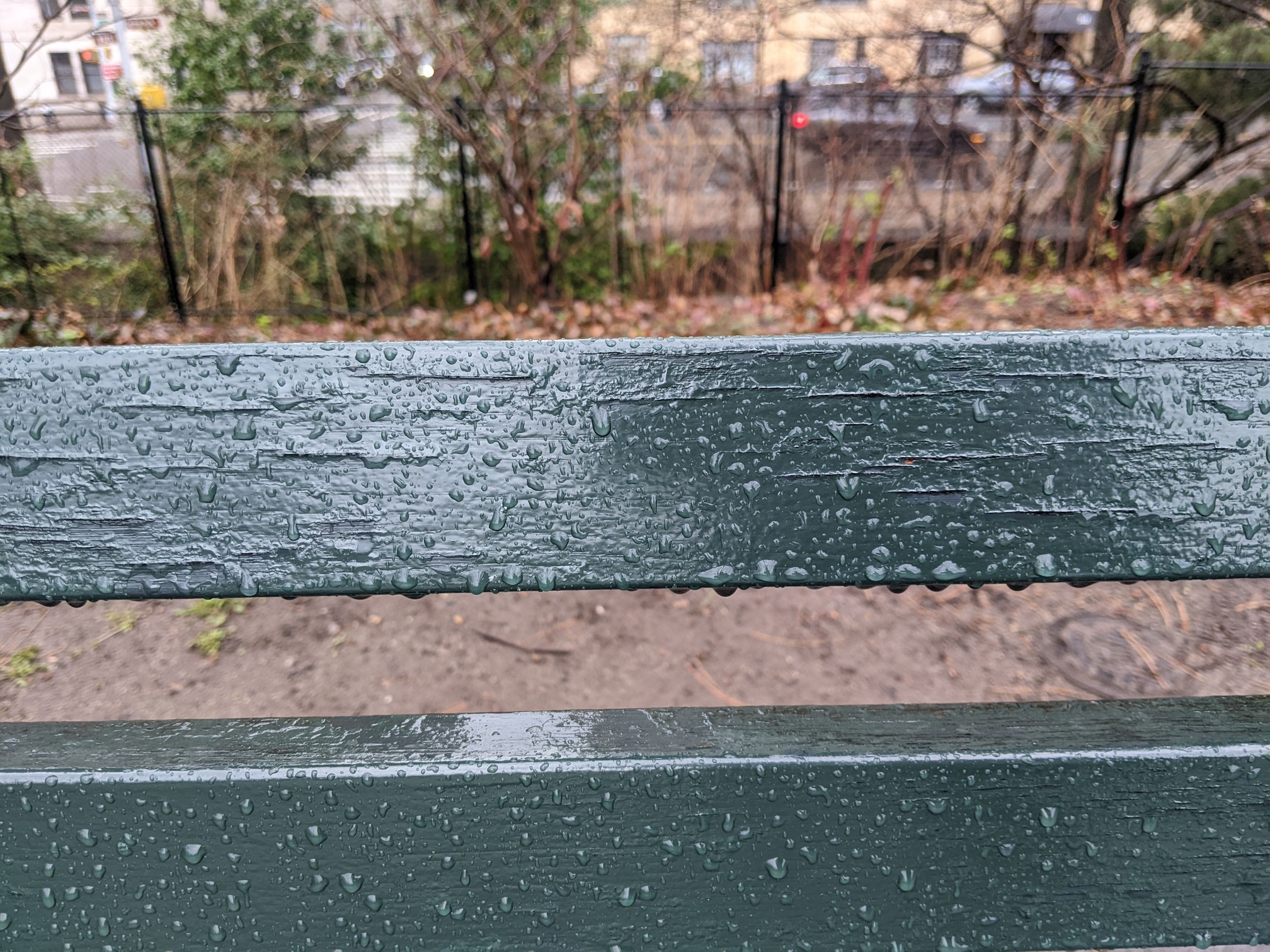 I saw this bench in Central Park