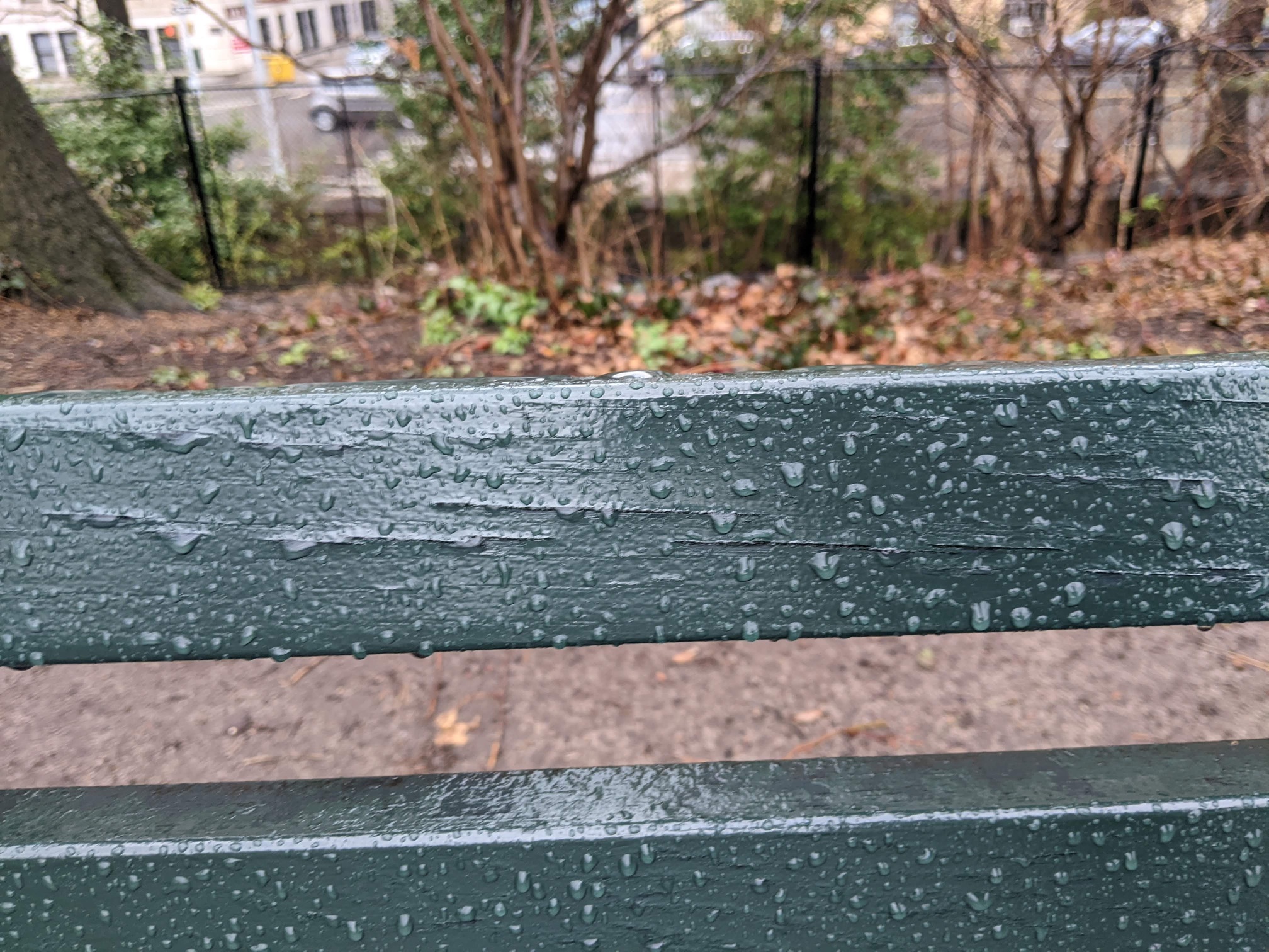 I saw this bench in Central Park