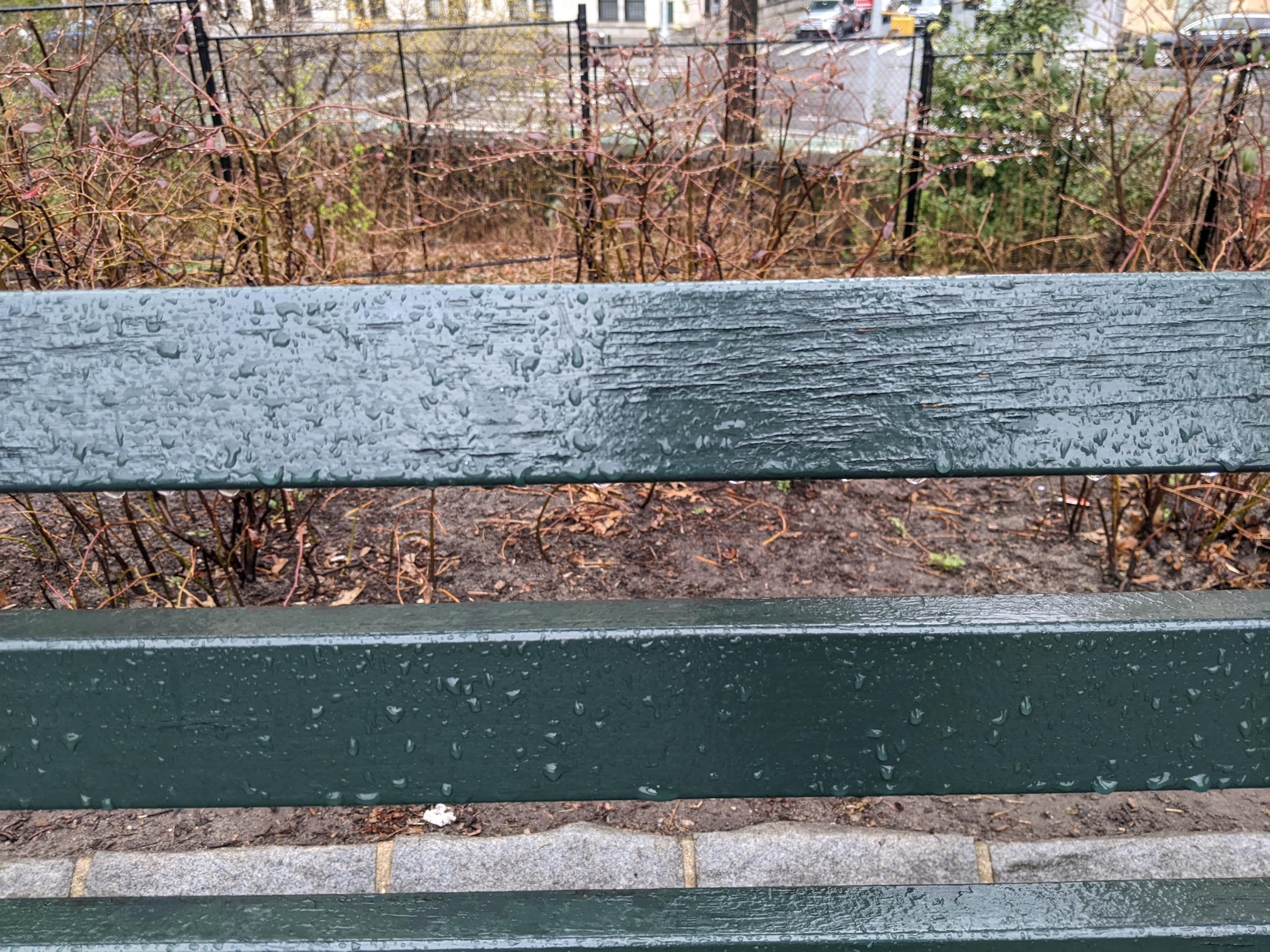 I saw this bench in Central Park