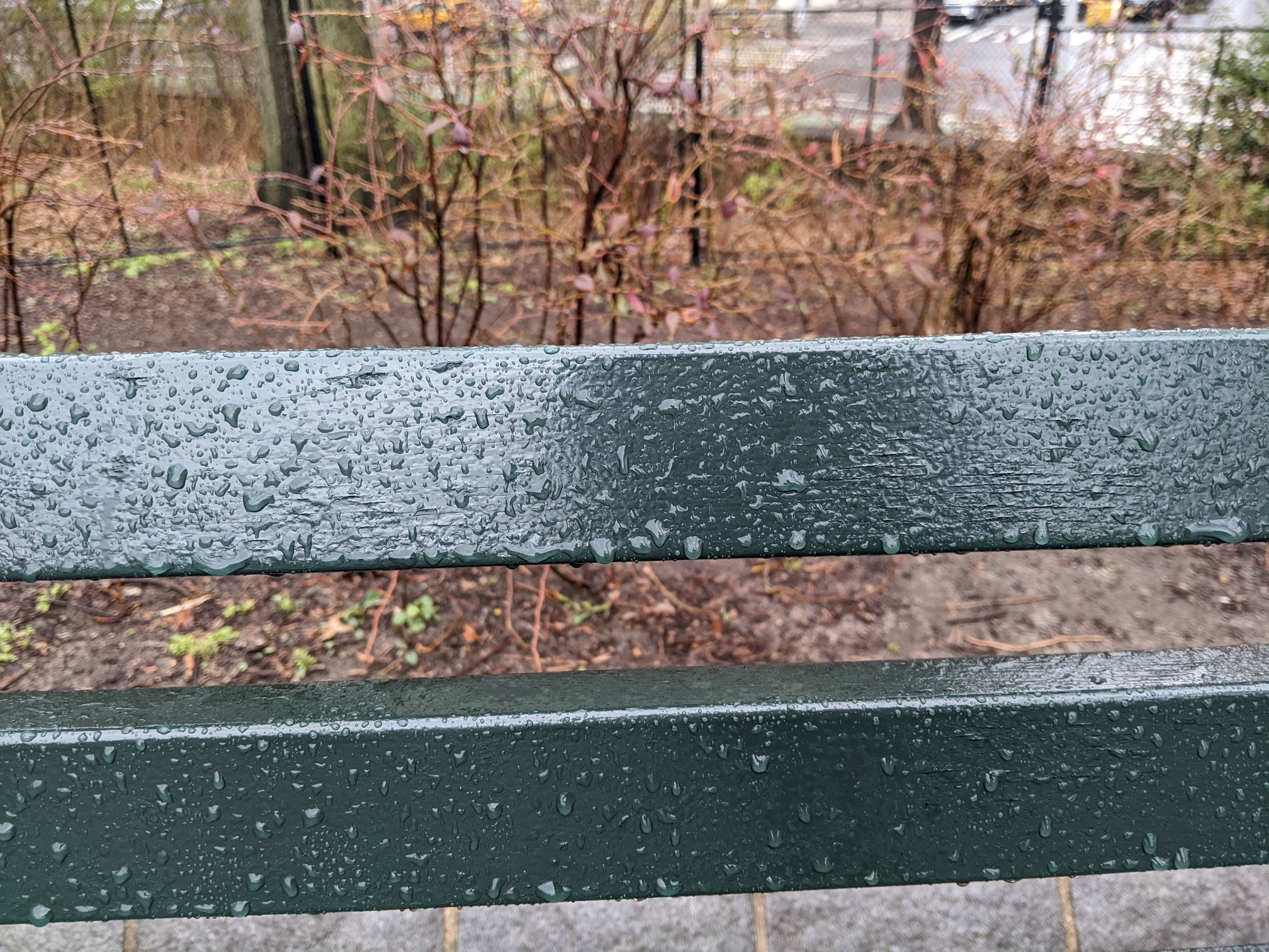 I saw this bench in Central Park