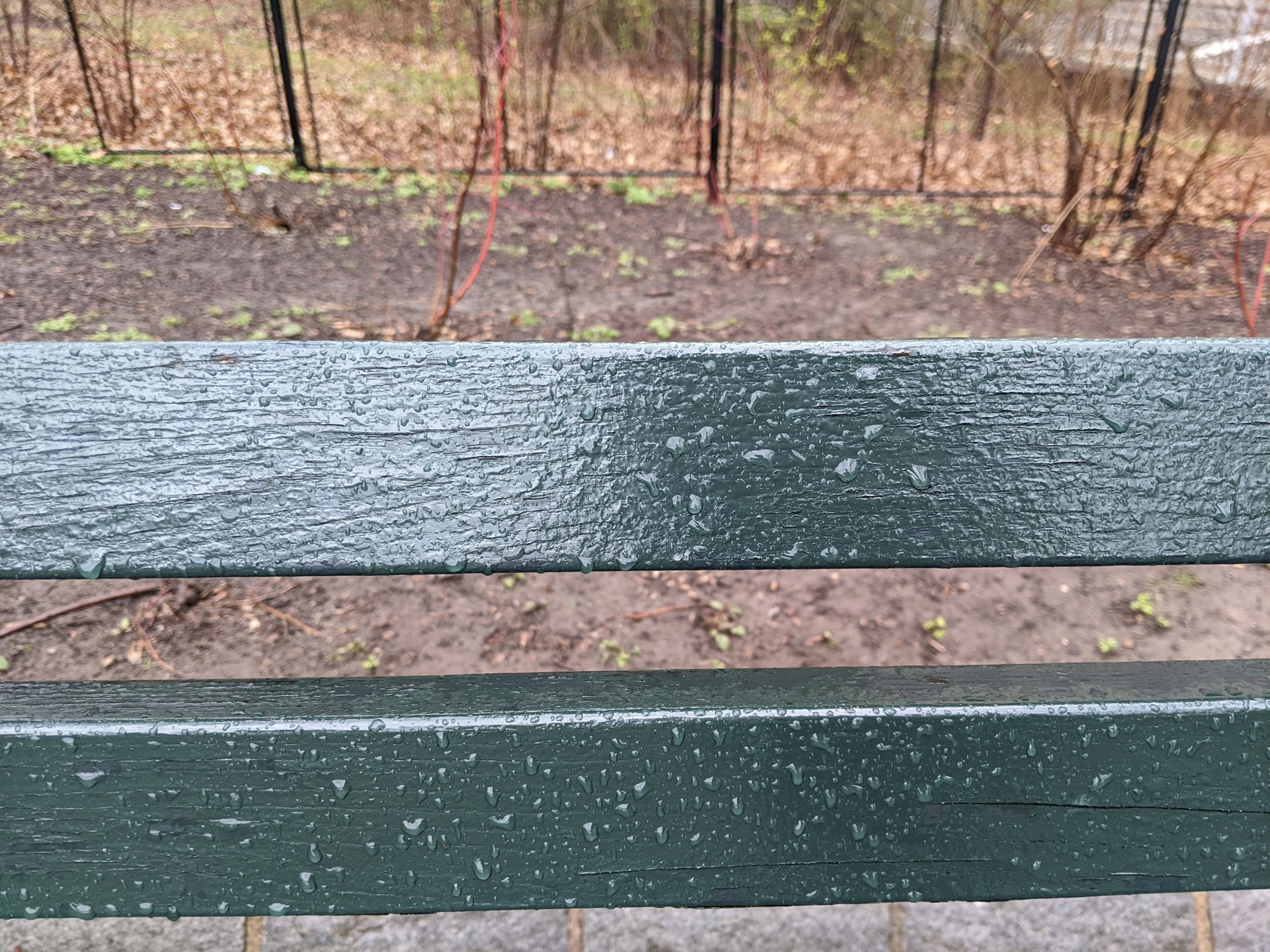 I saw this bench in Central Park