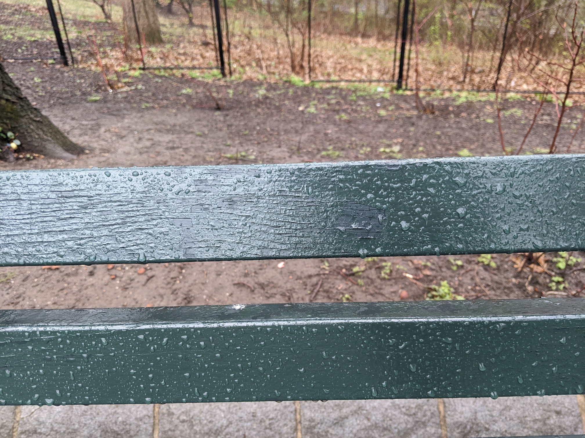 I saw this bench in Central Park