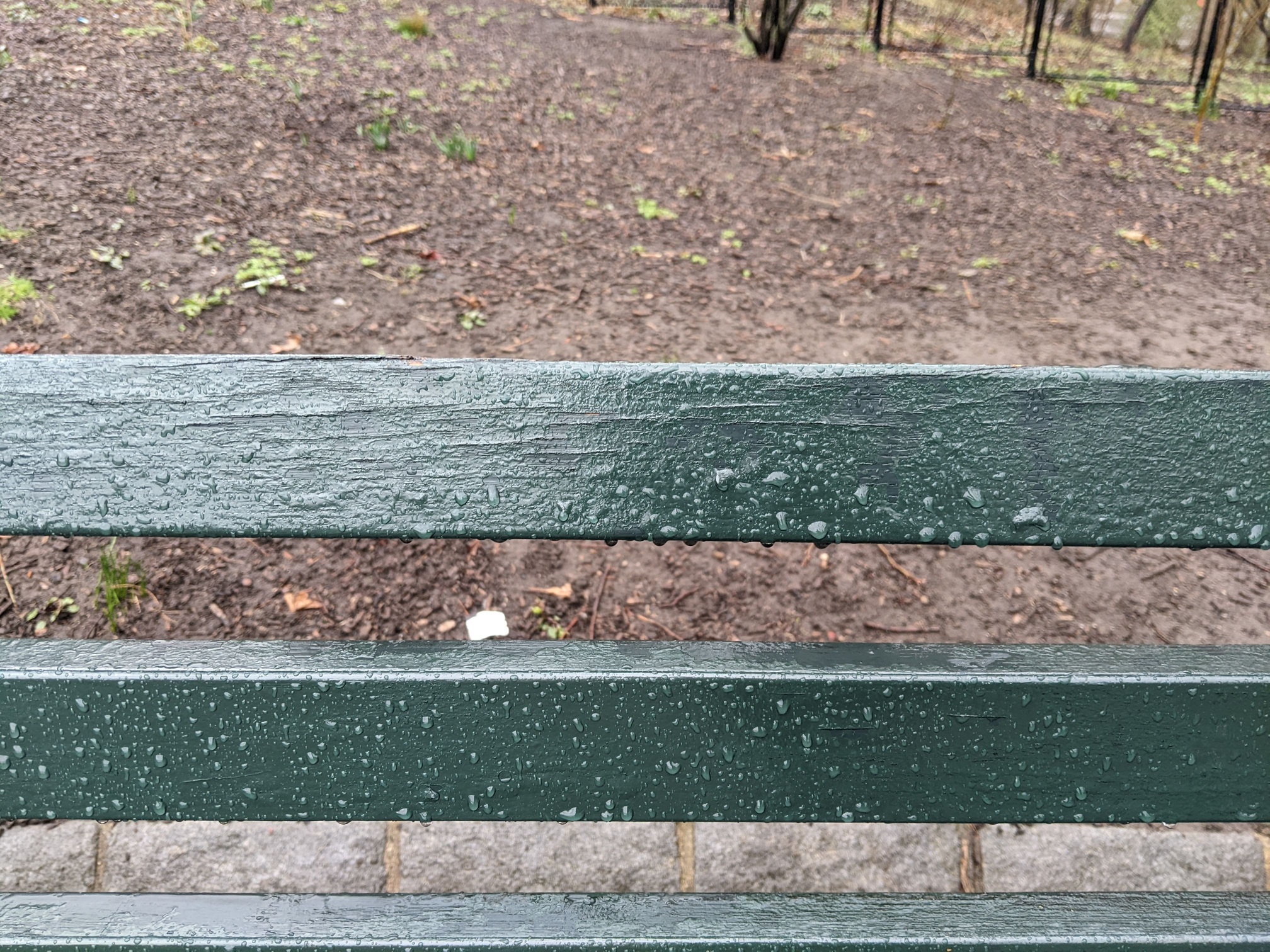 I saw this bench in Central Park