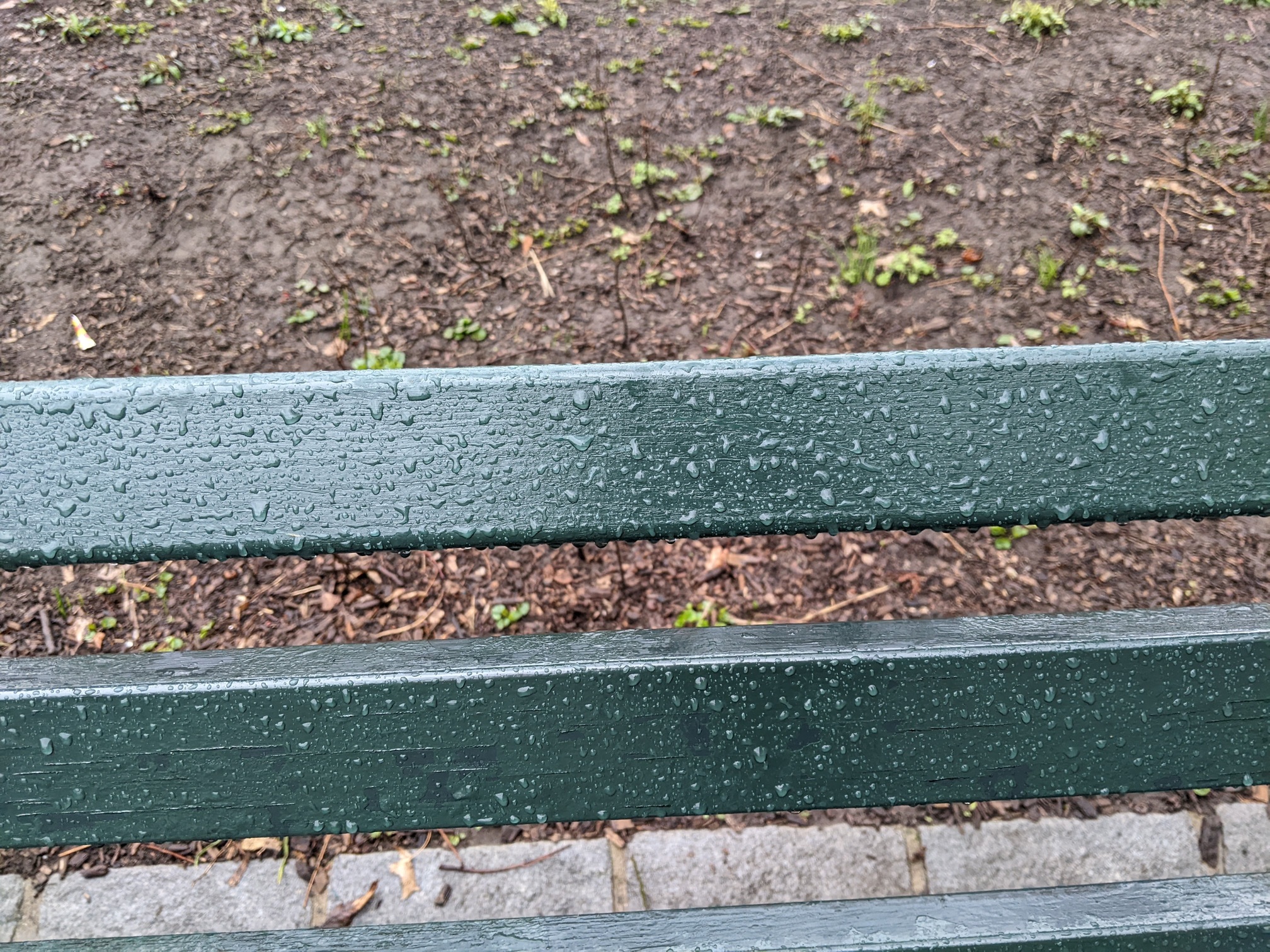 I saw this bench in Central Park