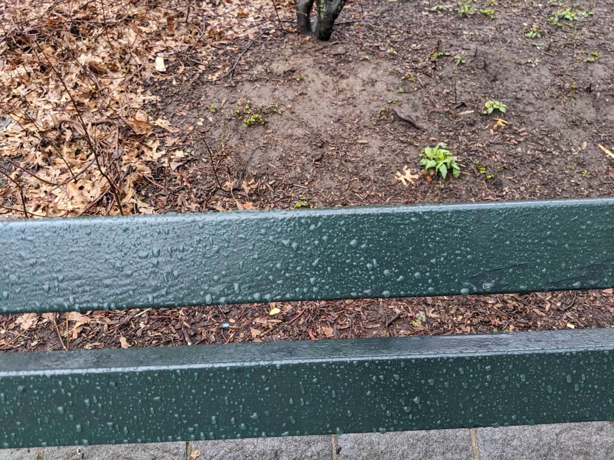 I saw this bench in Central Park