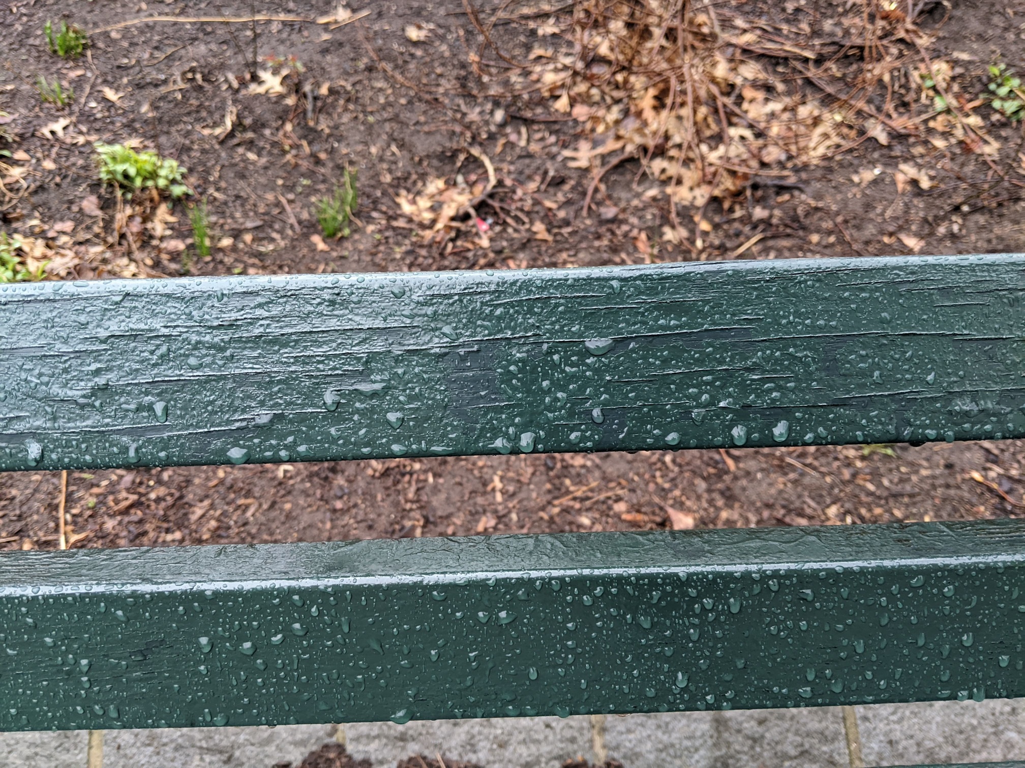 I saw this bench in Central Park