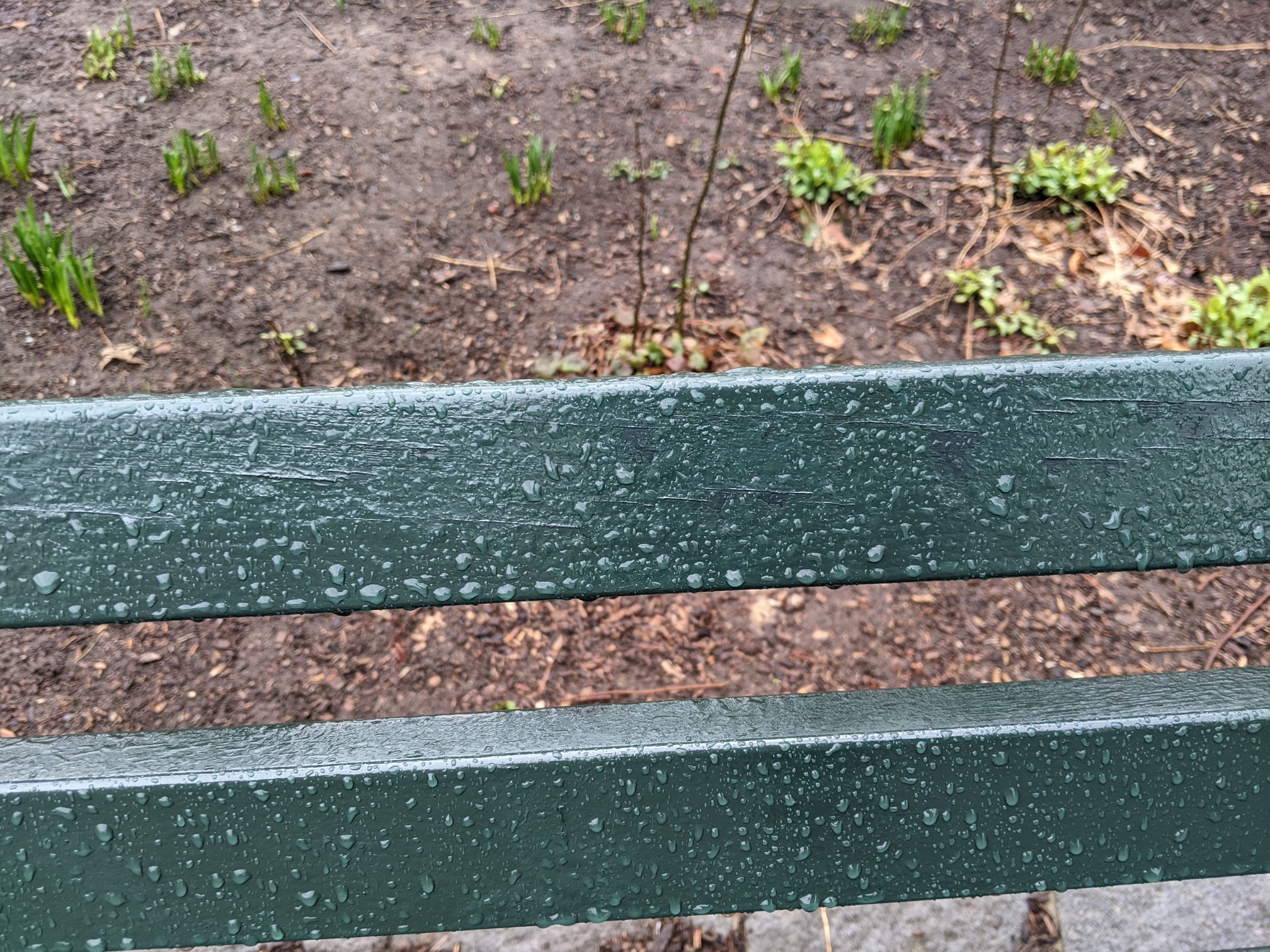 I saw this bench in Central Park