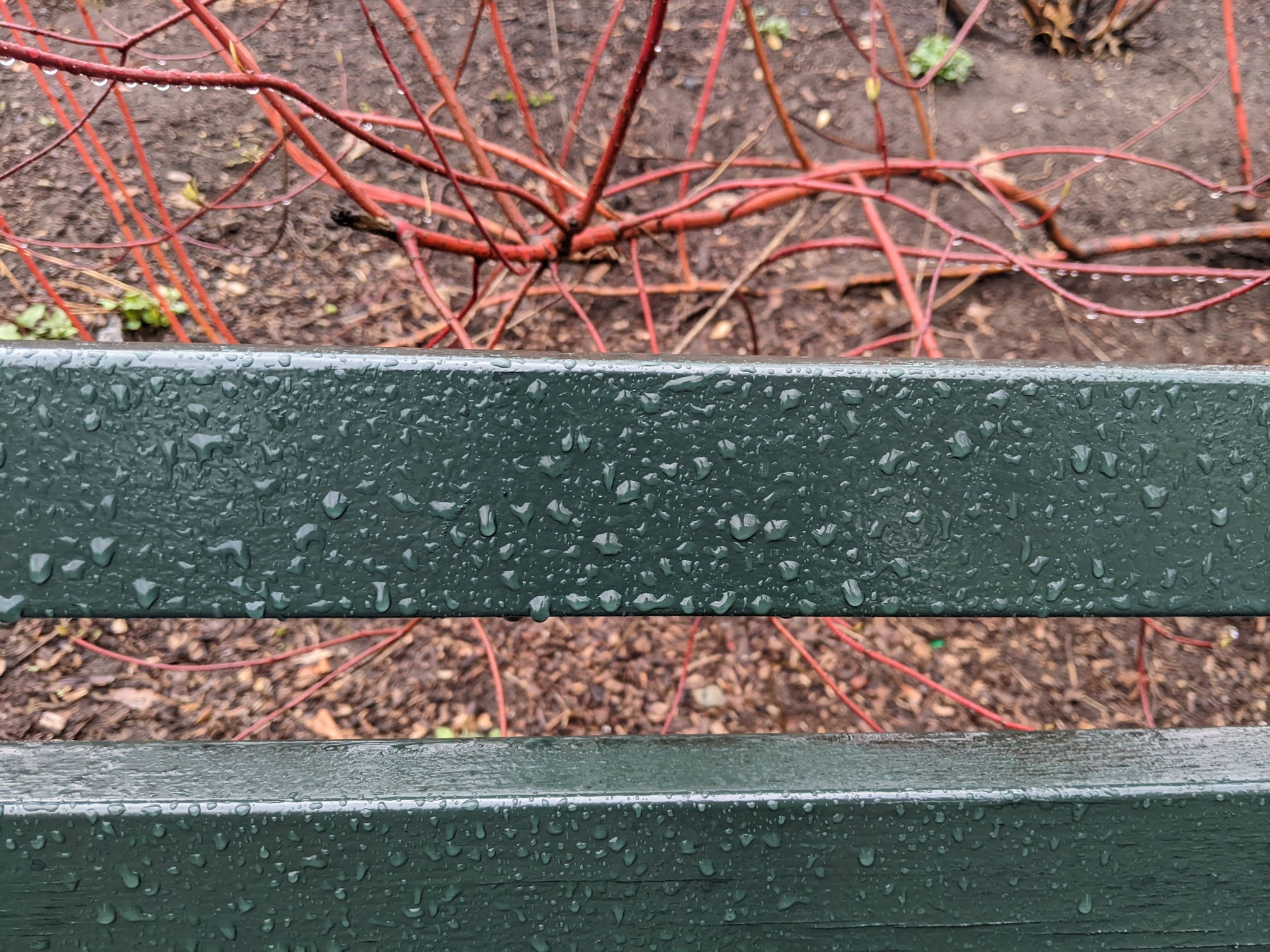 I saw this bench in Central Park