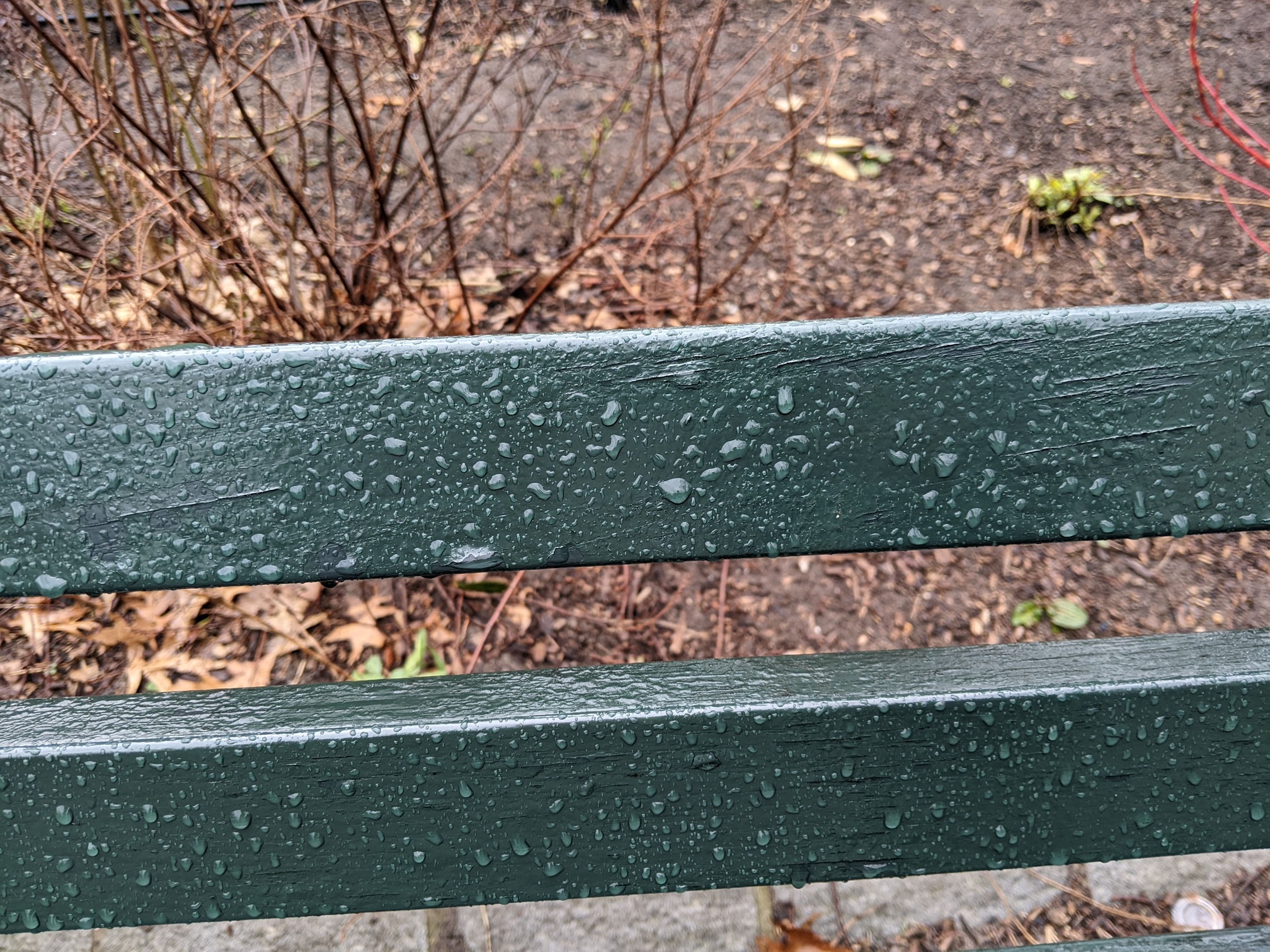 I saw this bench in Central Park