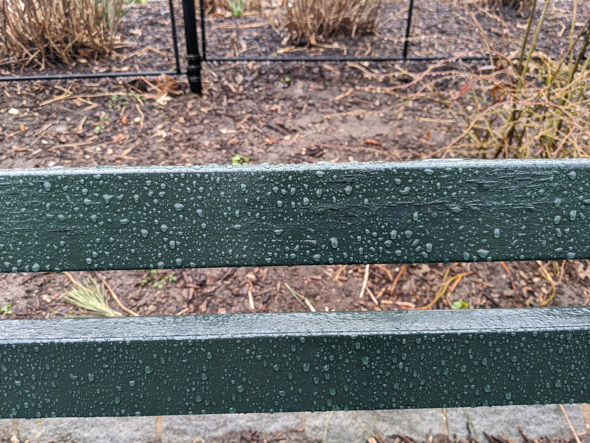 I saw this bench in Central Park