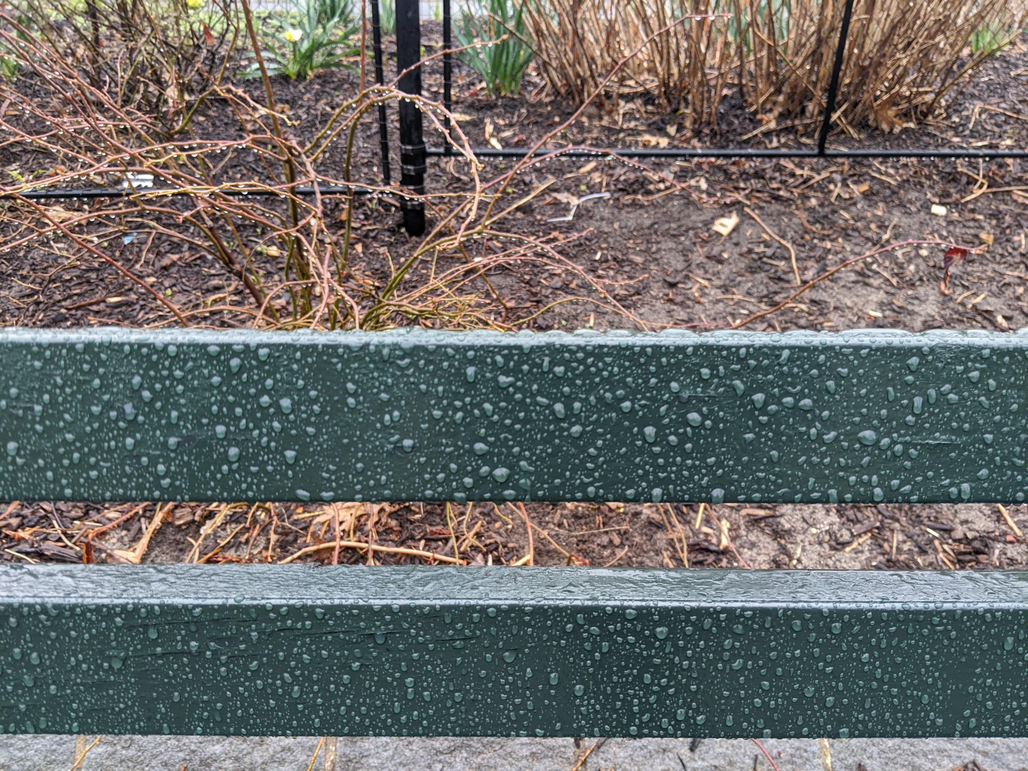 I saw this bench in Central Park