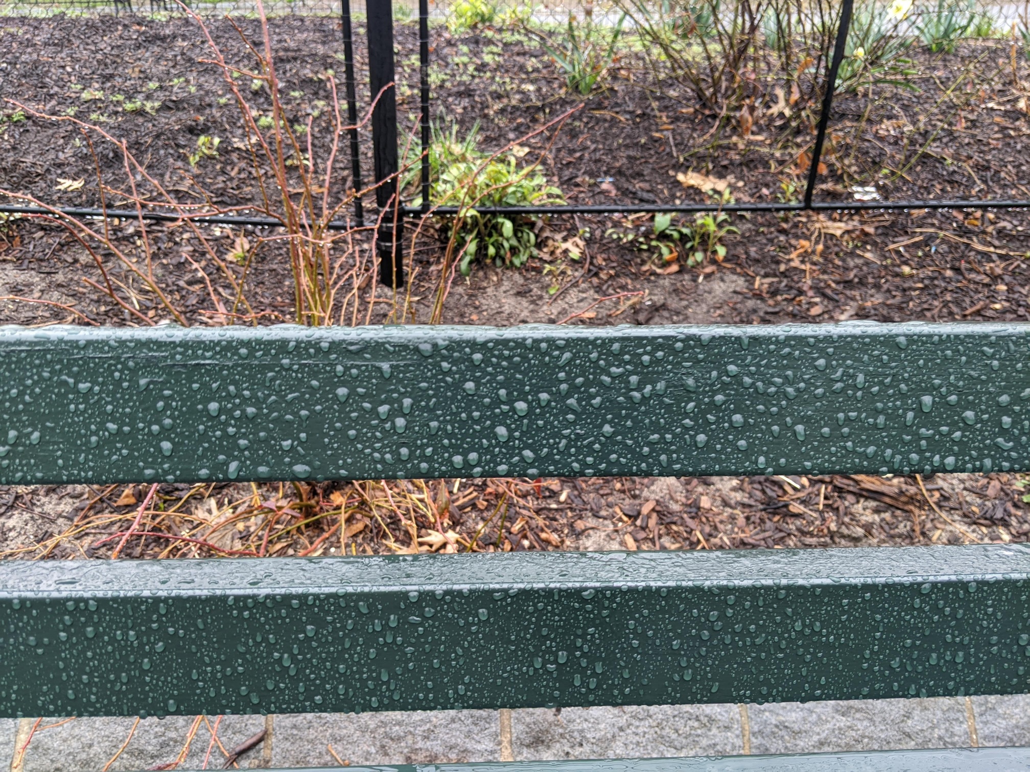 I saw this bench in Central Park