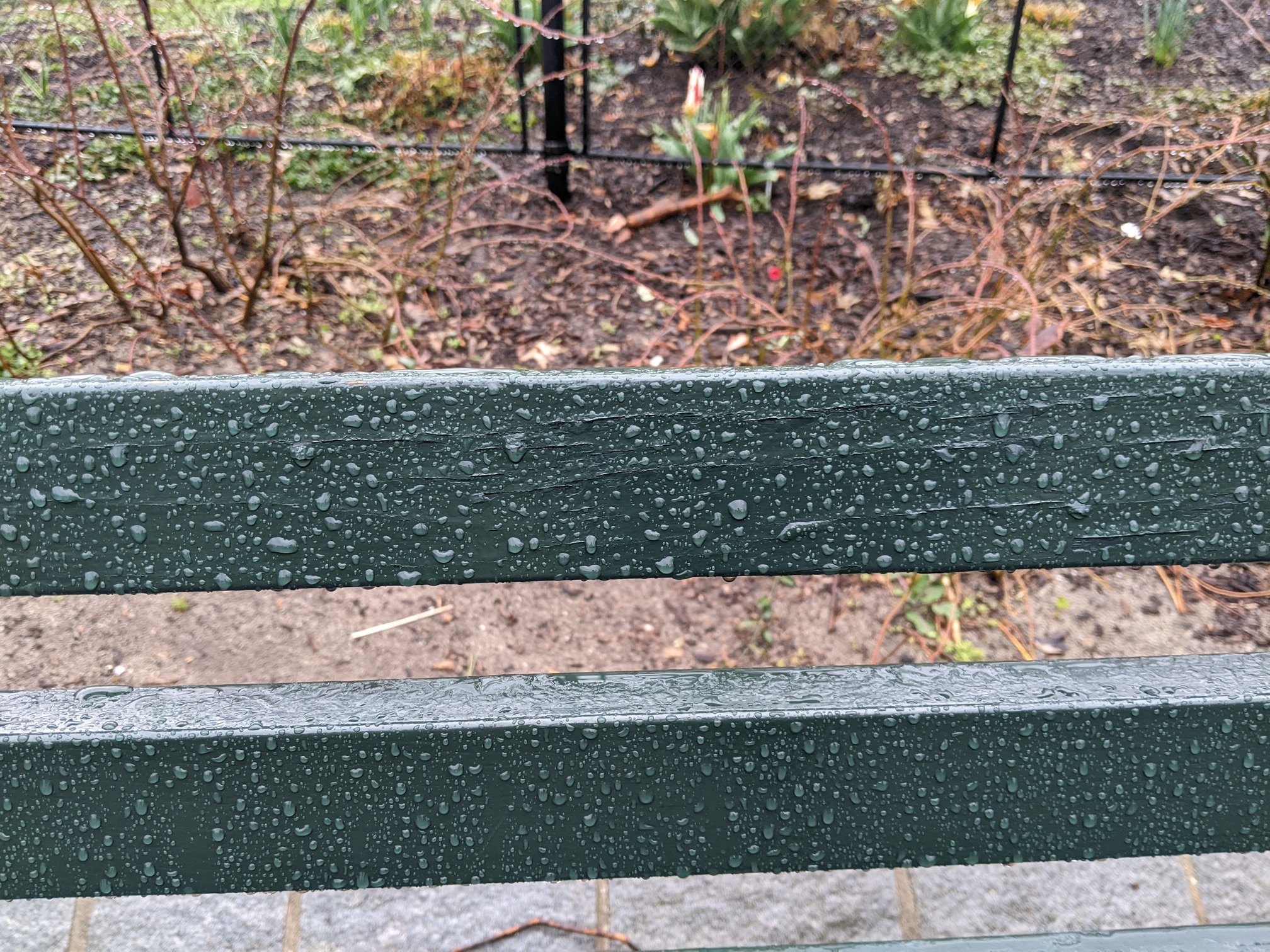 I saw this bench in Central Park