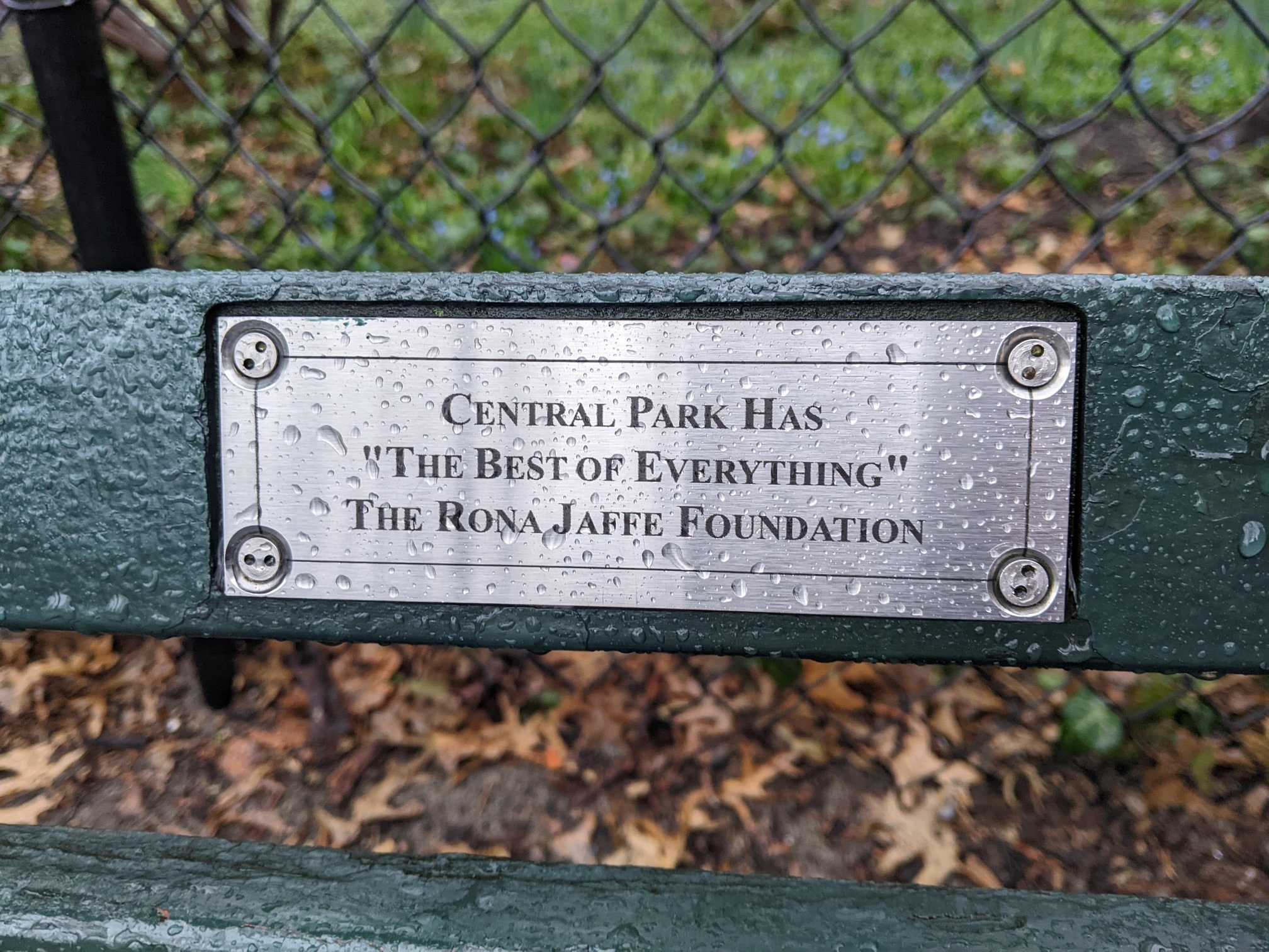 I saw this bench in Central Park