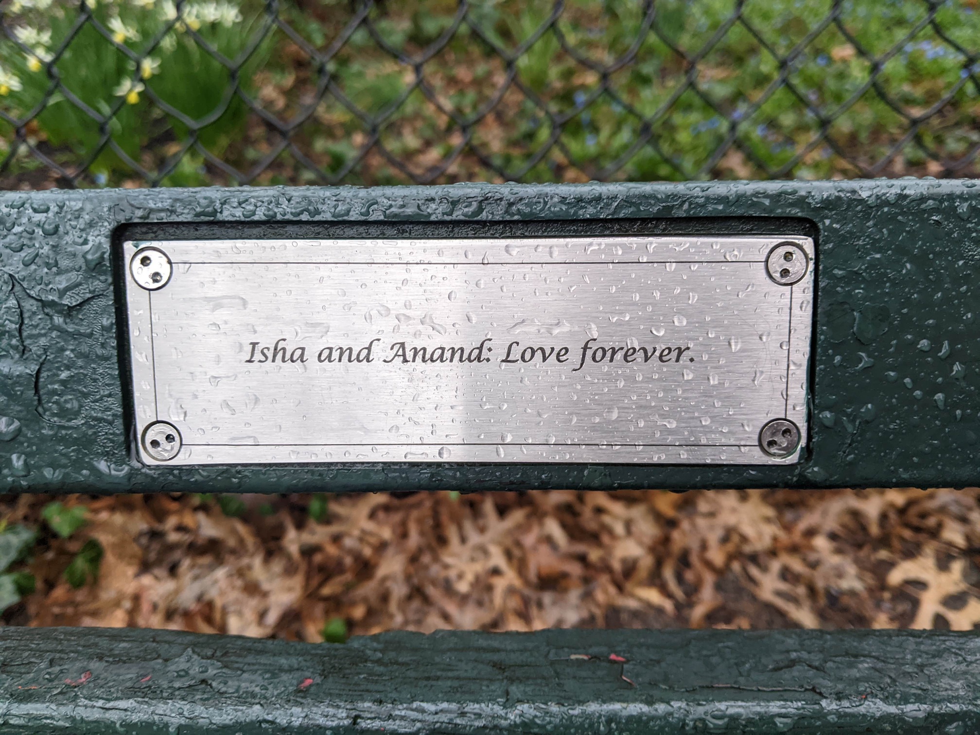 I saw this bench in Central Park