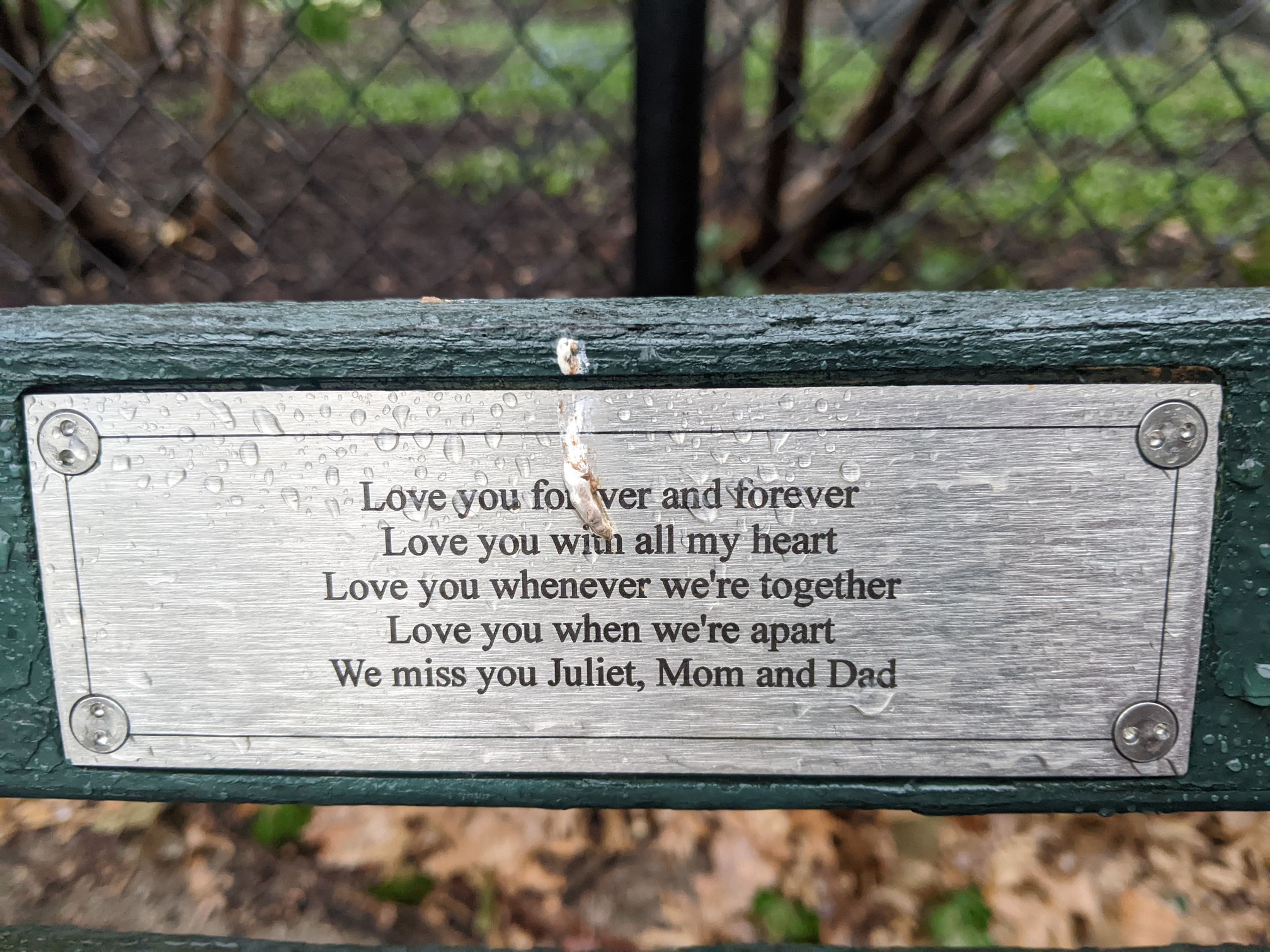 I saw this bench in Central Park