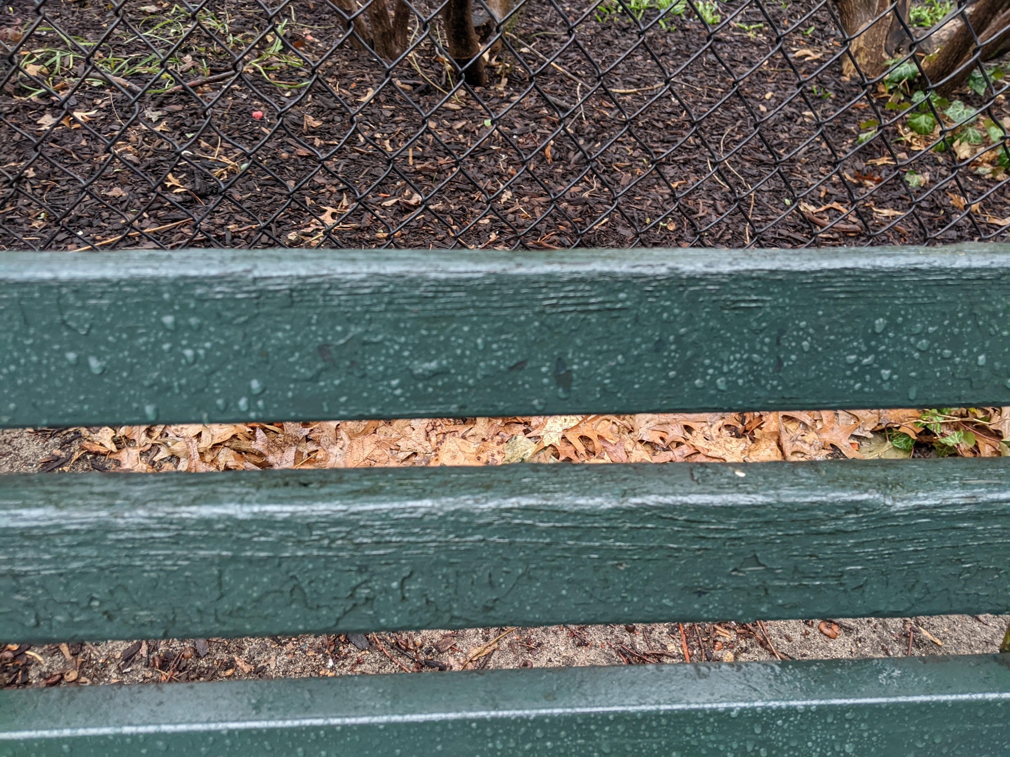 I saw this bench in Central Park