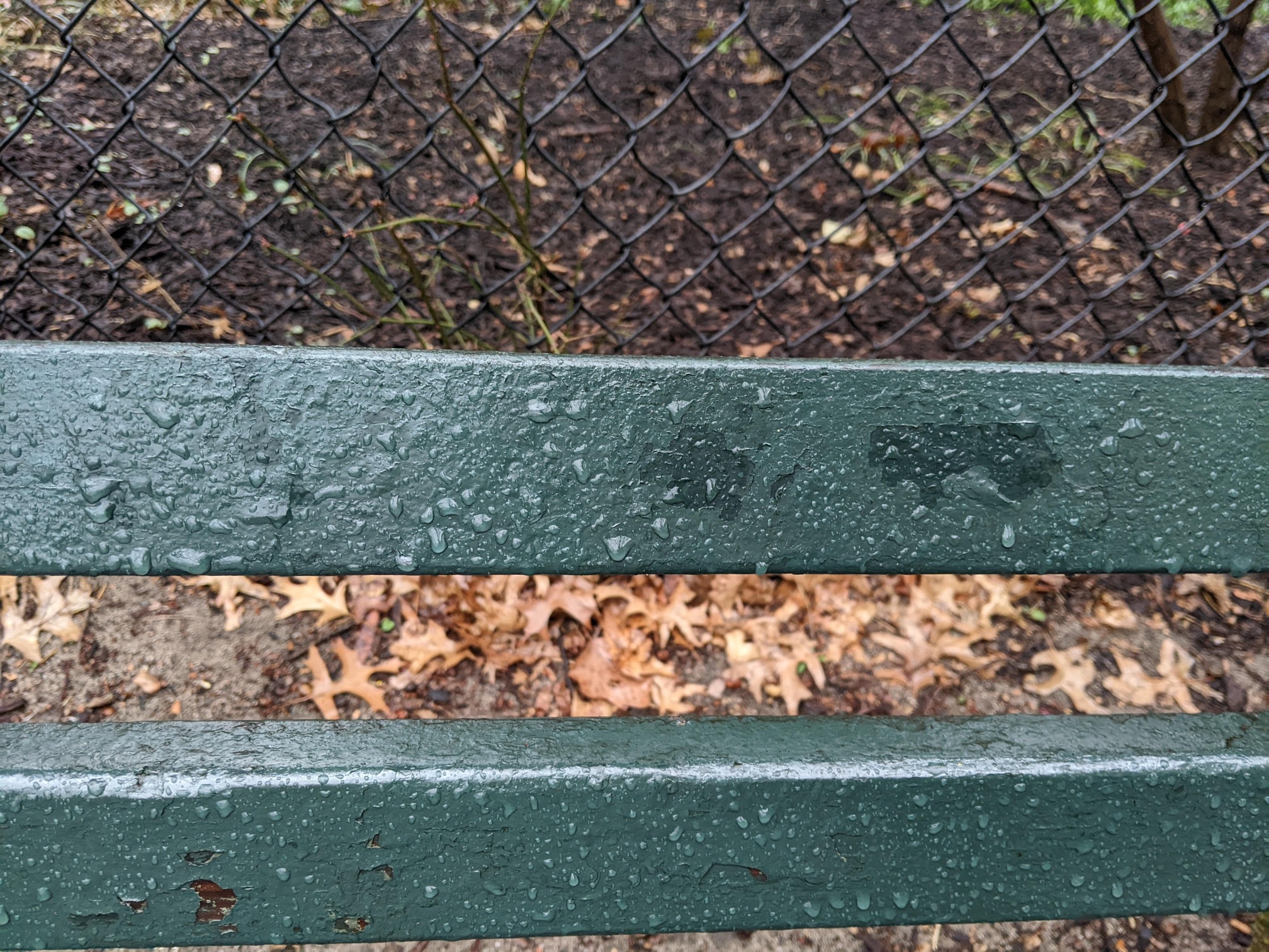 I saw this bench in Central Park