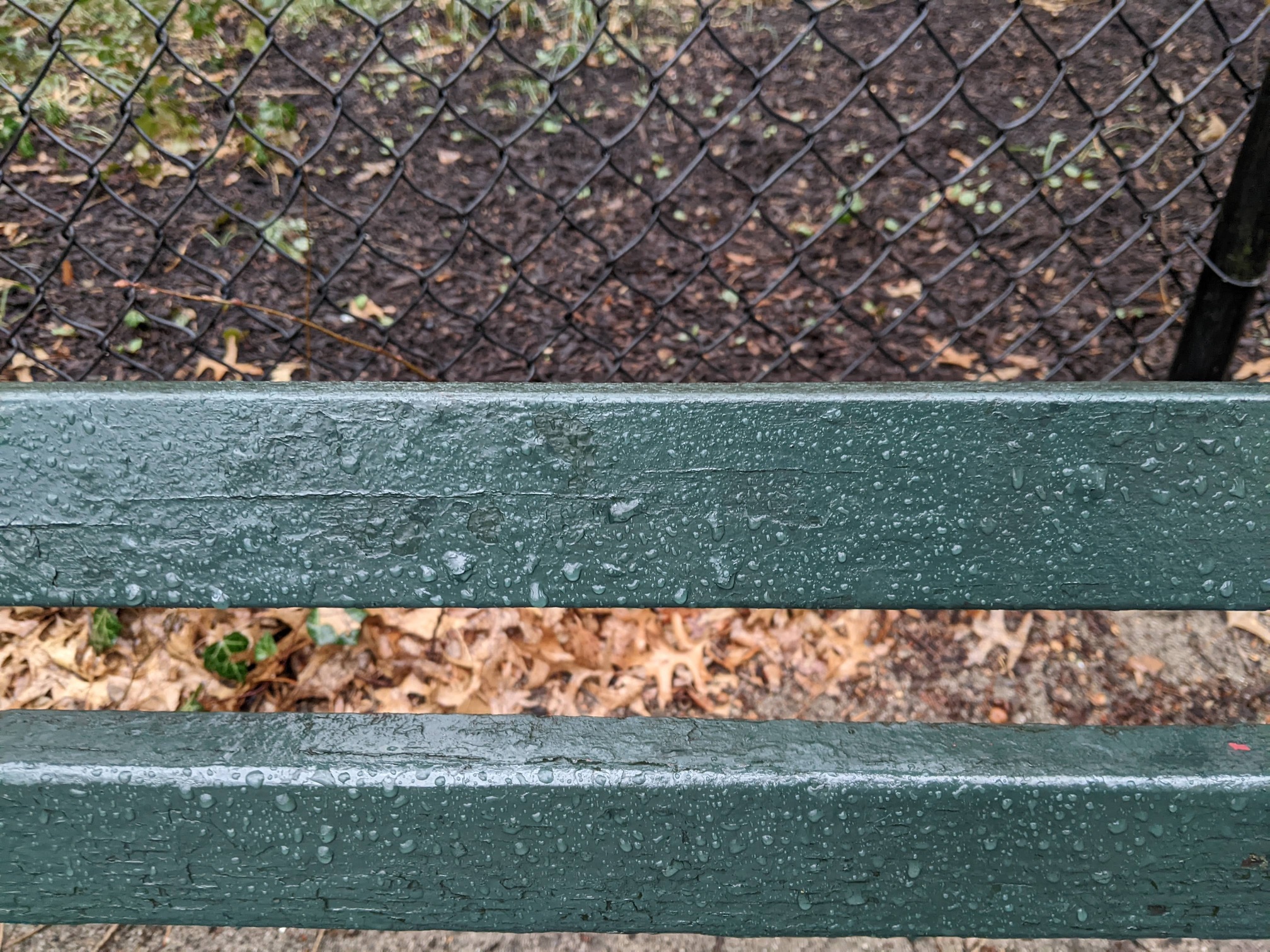 I saw this bench in Central Park