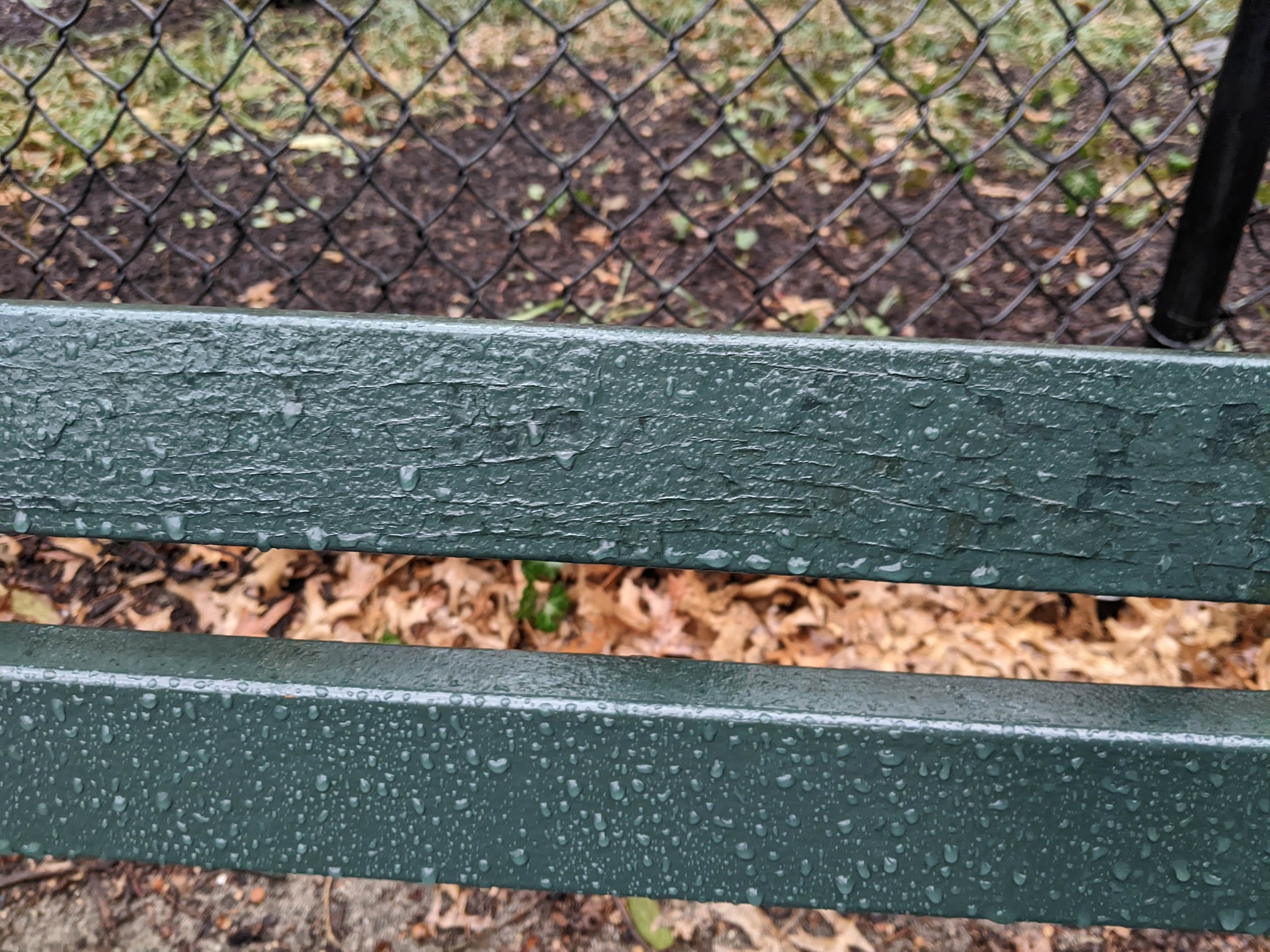 I saw this bench in Central Park