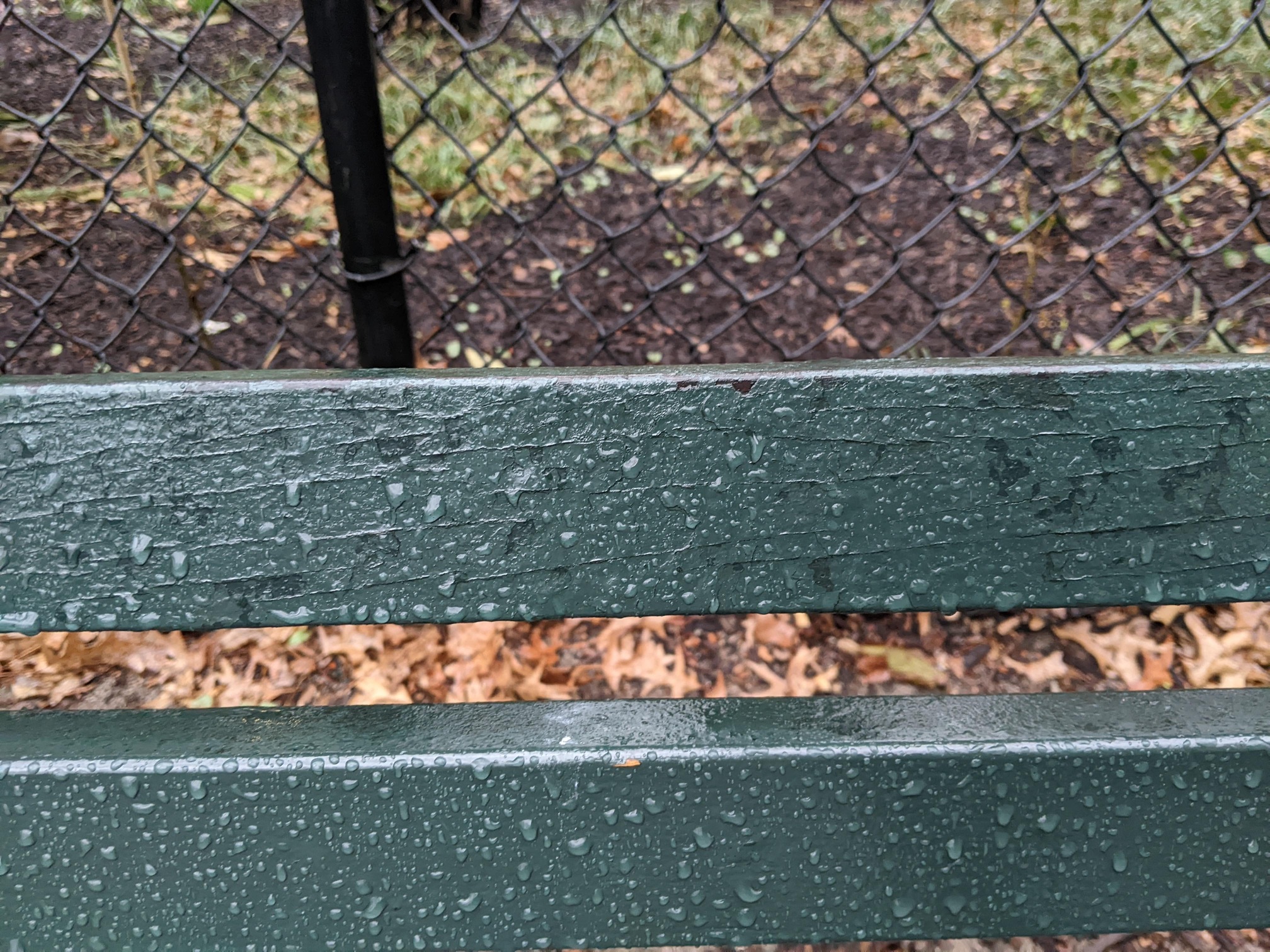 I saw this bench in Central Park