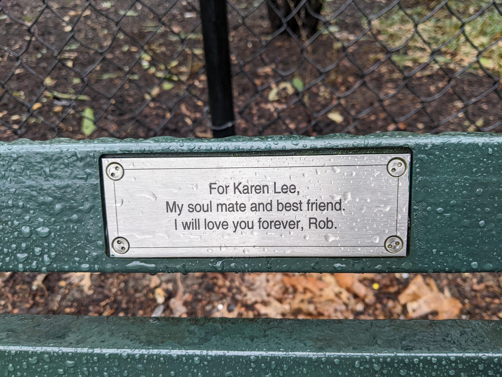 I saw this bench in Central Park