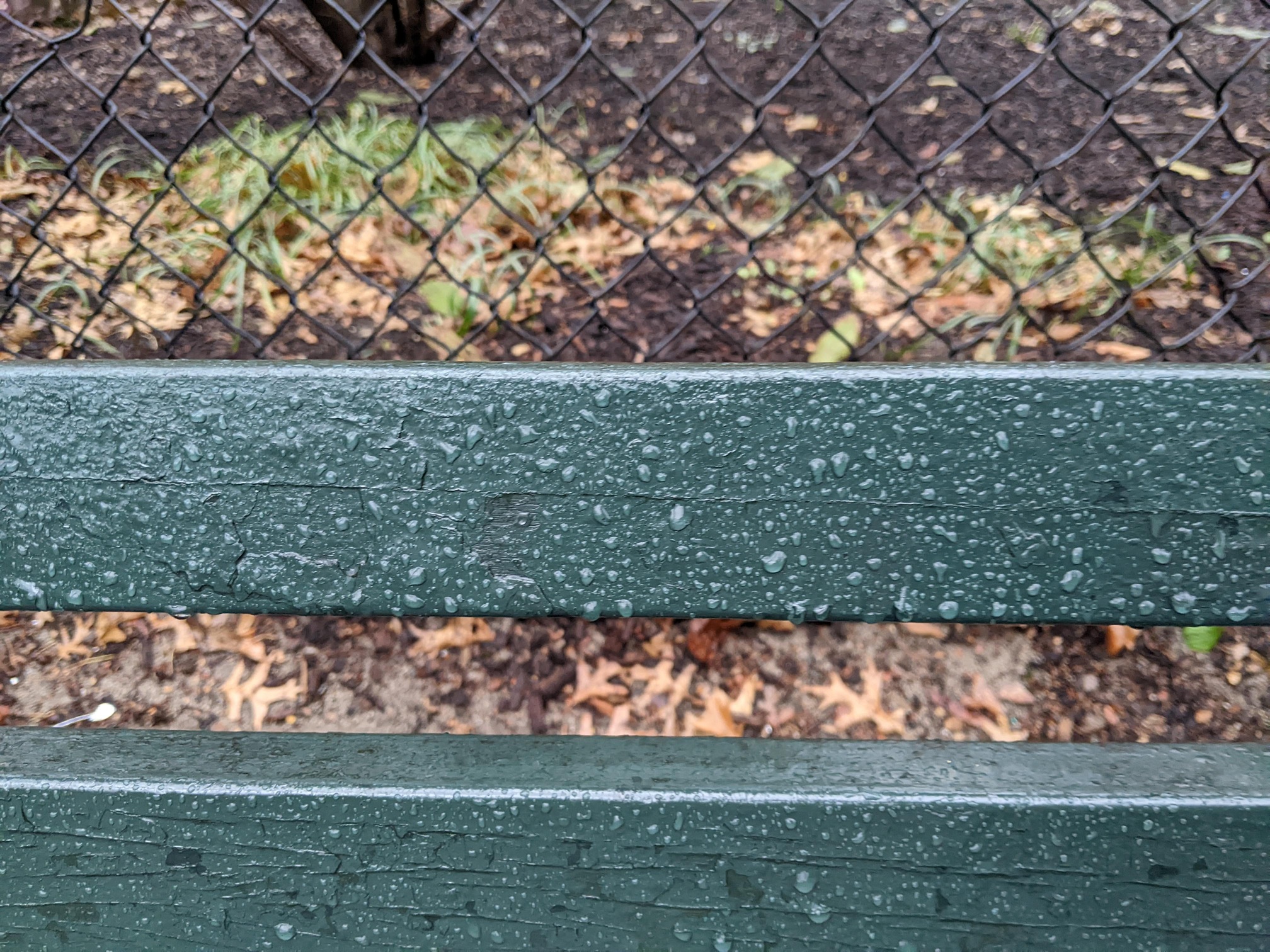 I saw this bench in Central Park